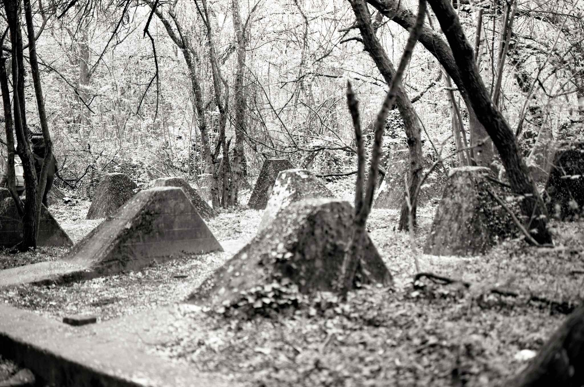 2017 04 02 hckerlinie 07 33006715453 o