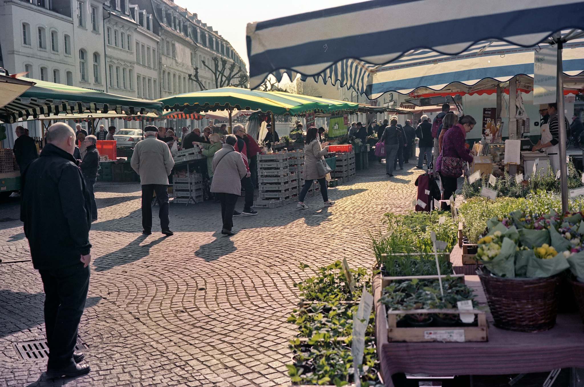 2017 04 08 gsw690 portra 400 04 33102420633 o