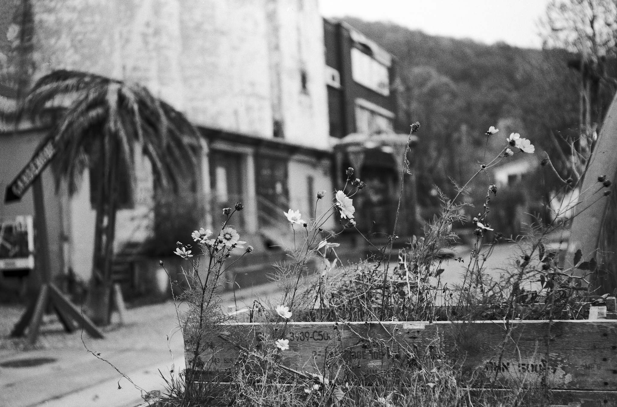 2017 11 07 bessa rf 04  38194837846 o