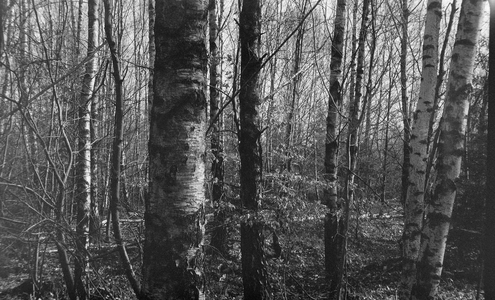 Mockbamokva 5 02 33347817922 o