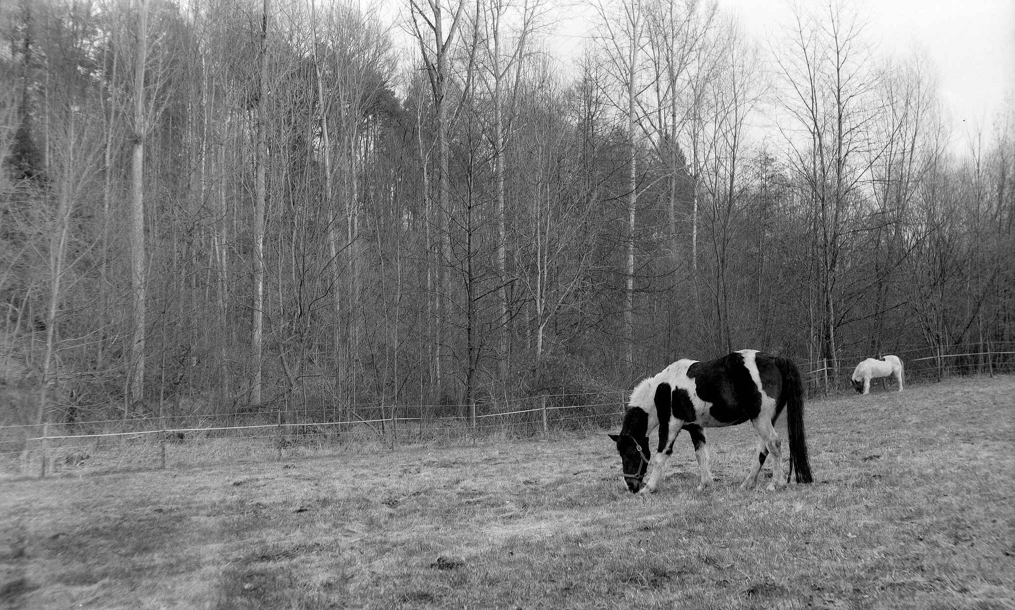 Mockbamokva 5 03 33375725391 o