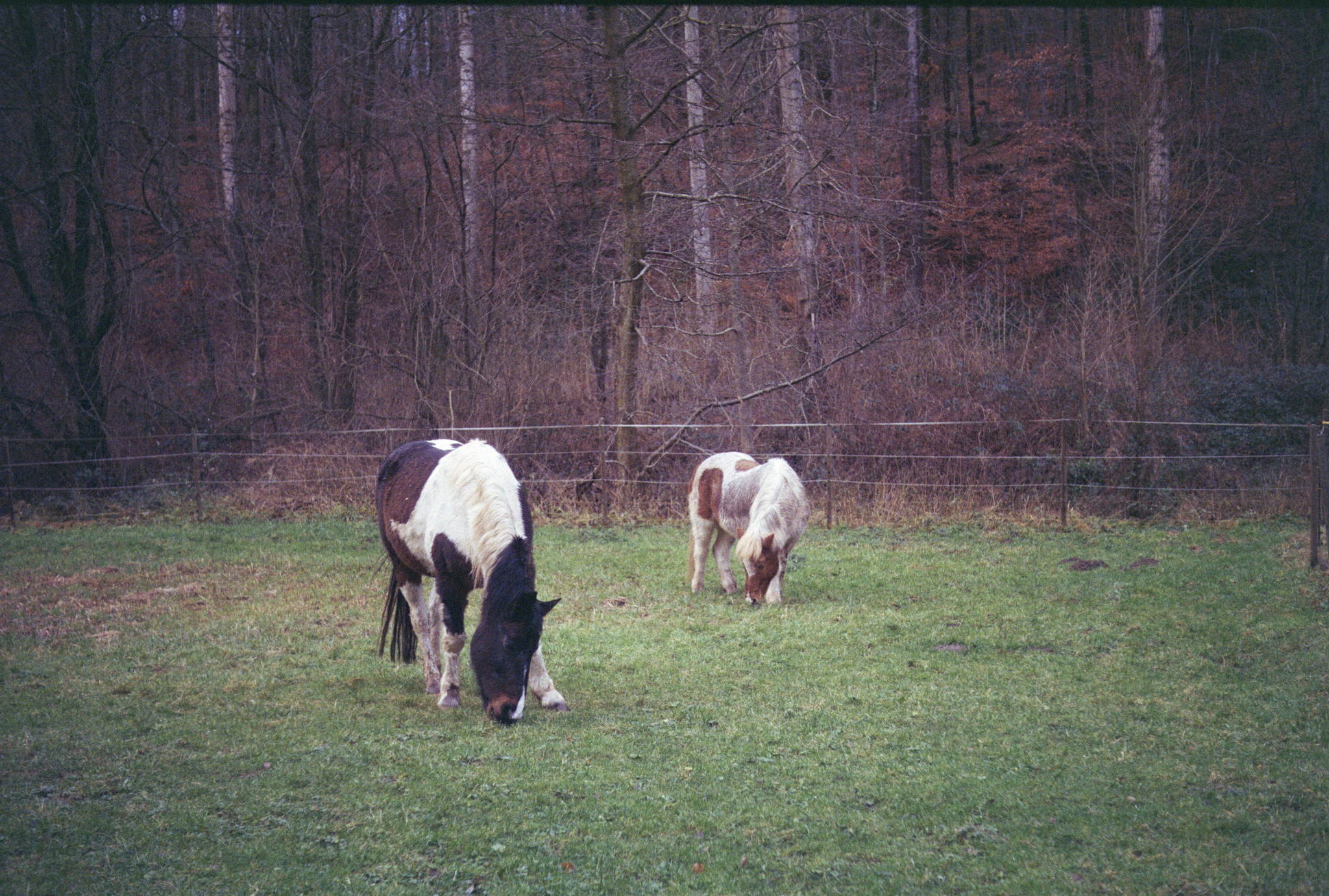 2017 12 11 leica  26 38107160135 o