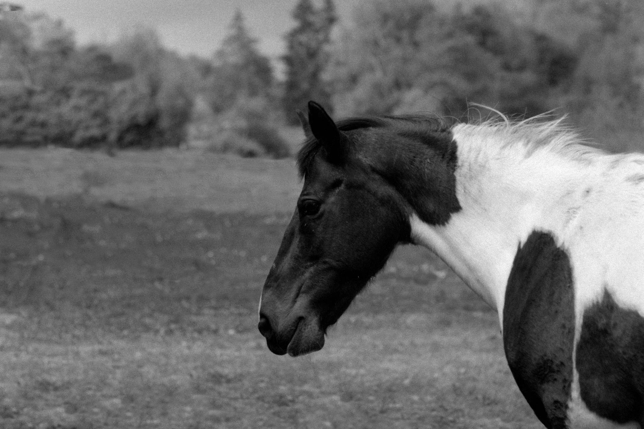 2019 05 20 0018a 47956630566 o