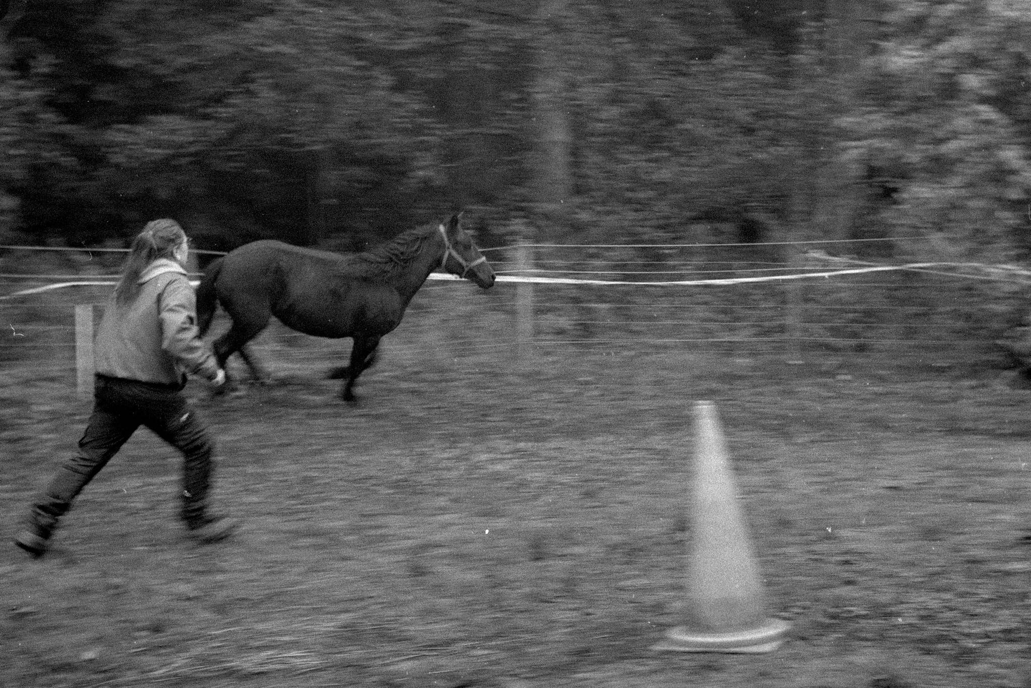 2022 10 20 0002 52449095100 o