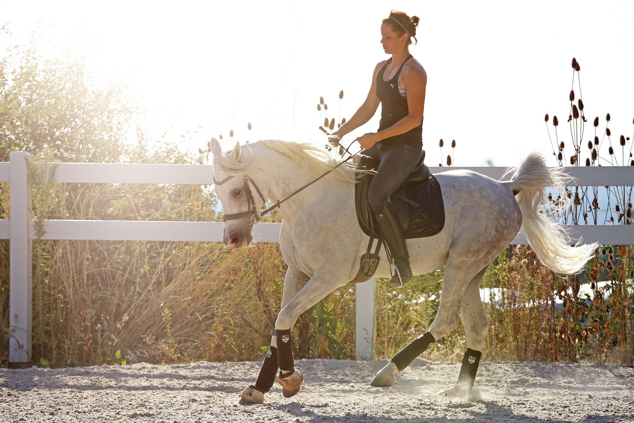 Al chadim saheed 29662070431 o