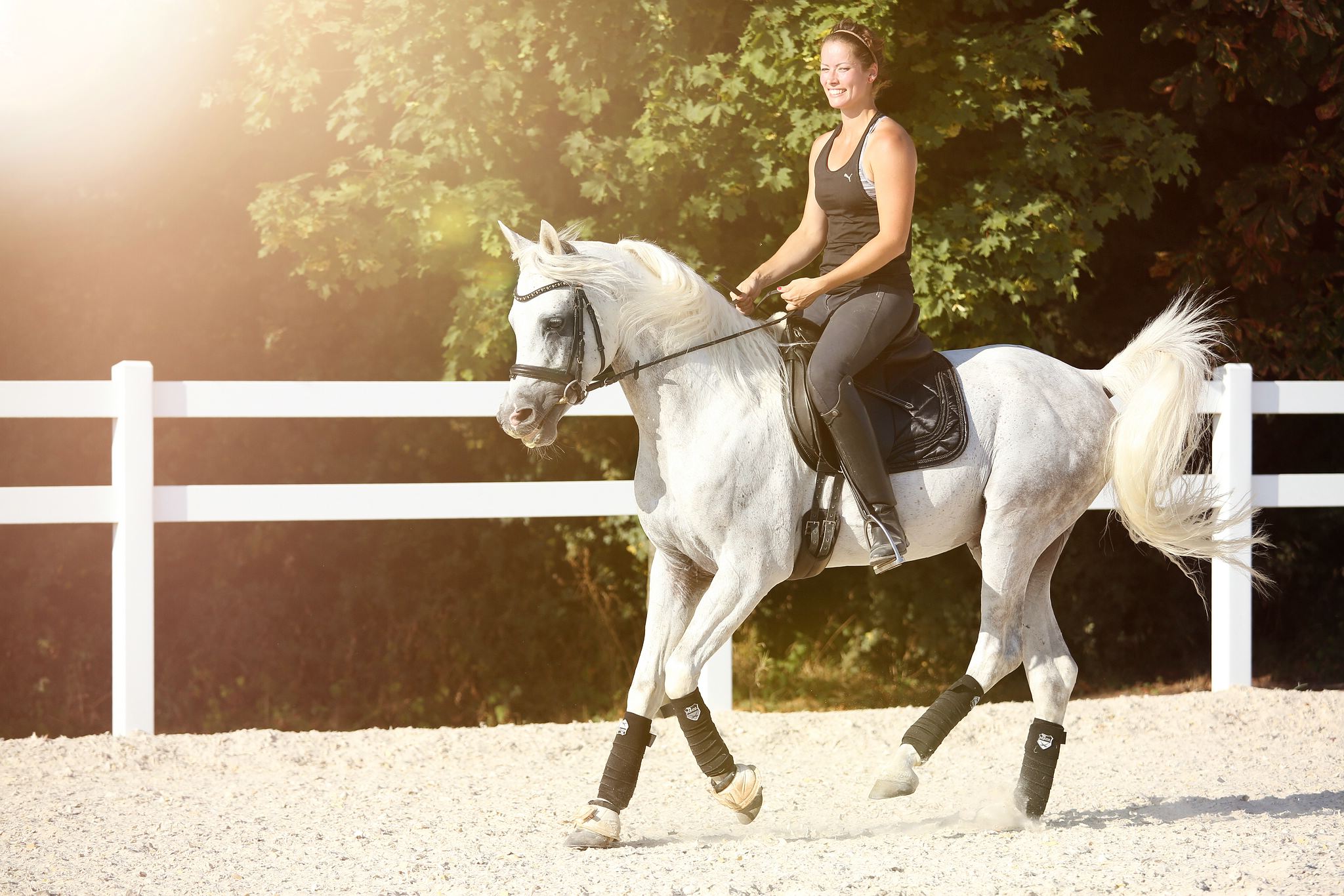 Al chadim saheed 29662078351 o