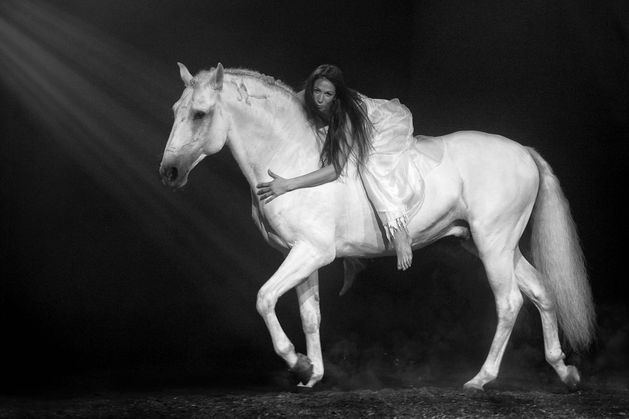 Amazone 28481949994 o