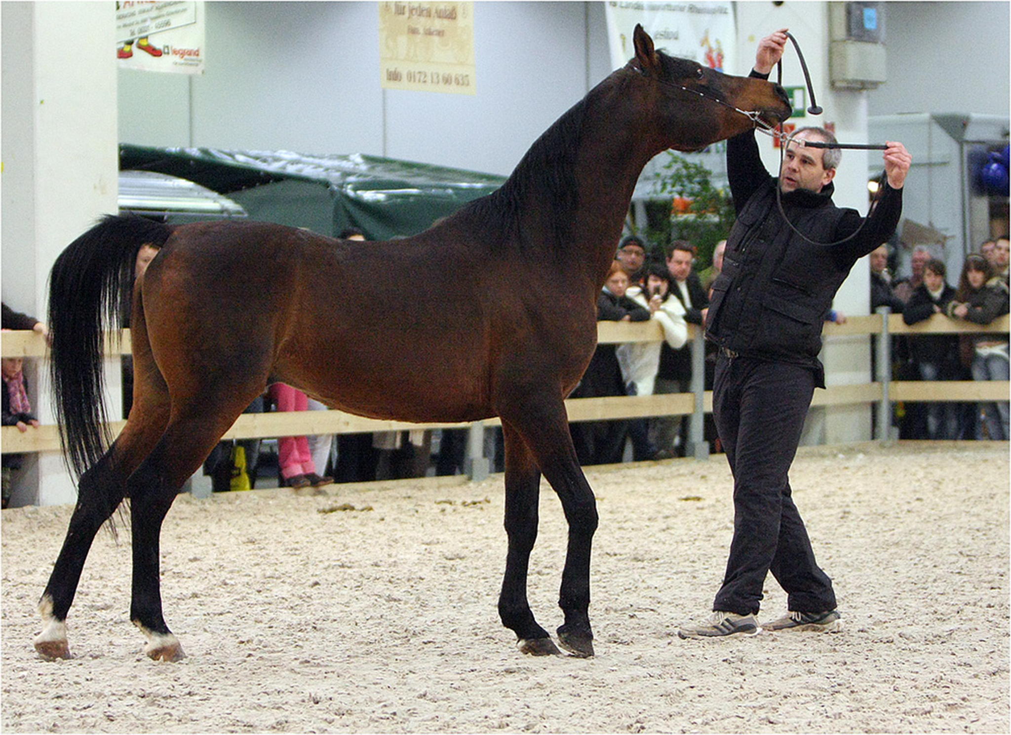 Araberprsentation 6000336281 o