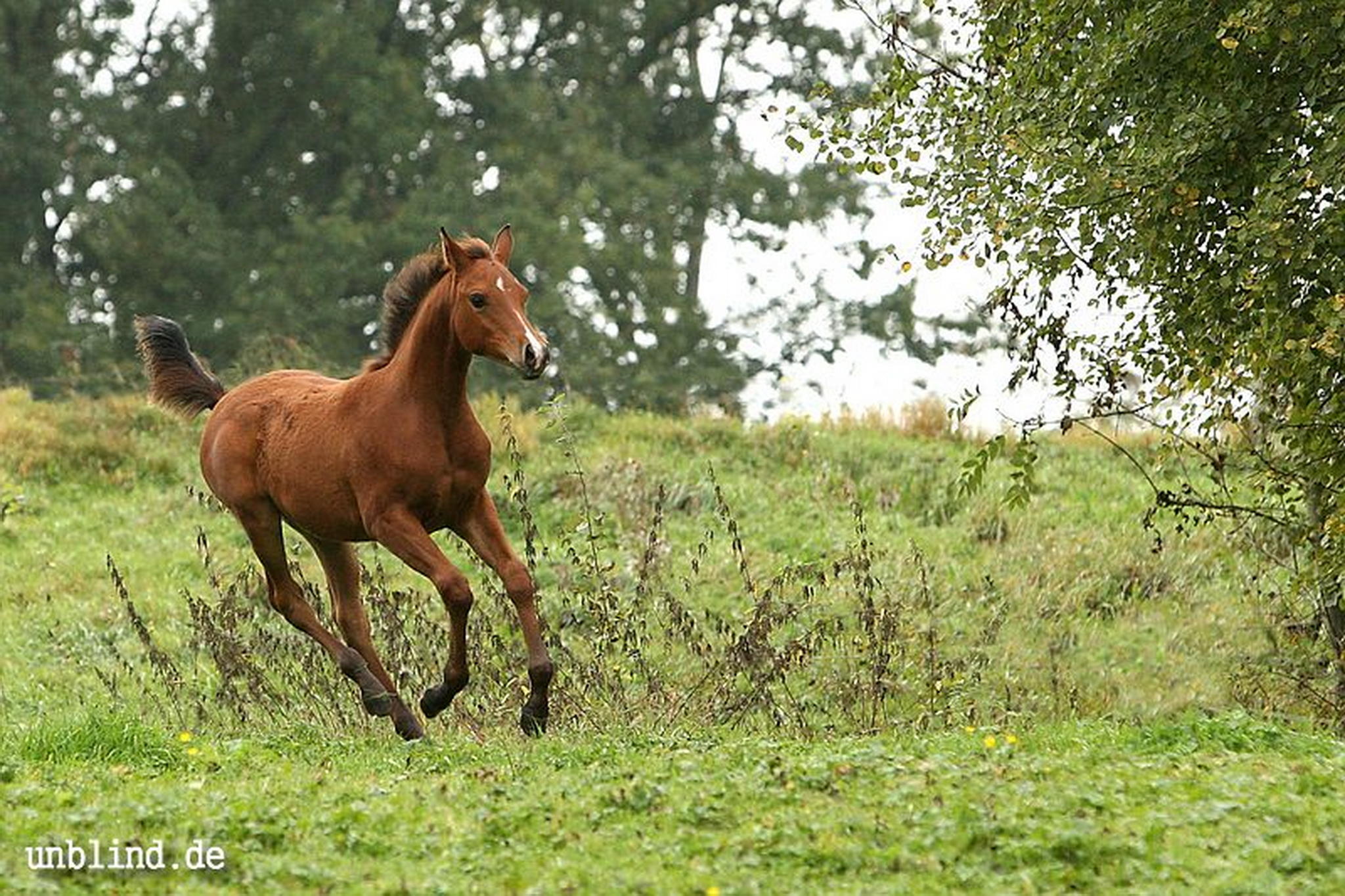 Arabische kinder 13 6240245266 o