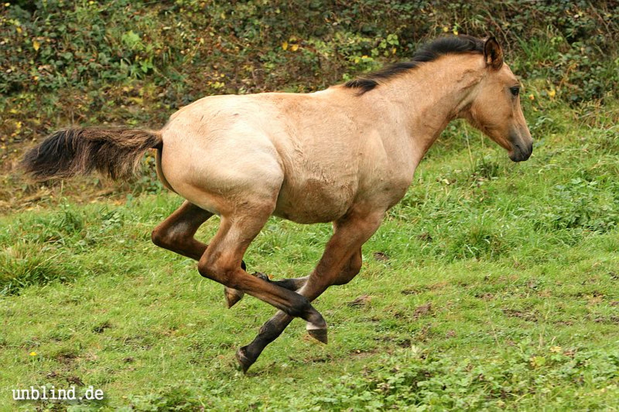 Arabische kinder 25 6239727909 o