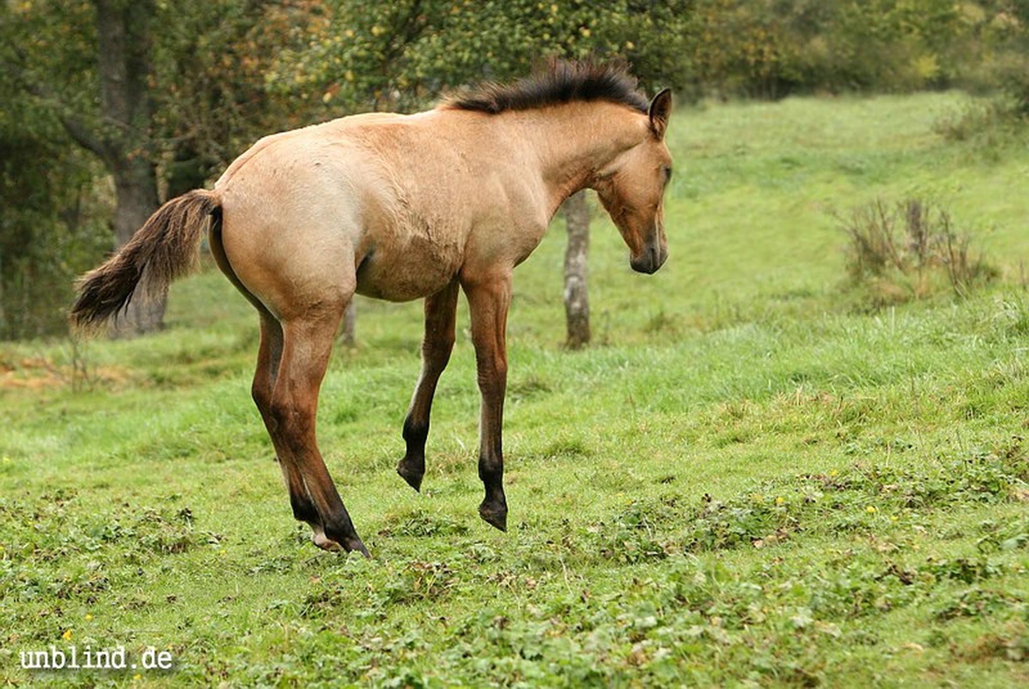 Arabische kinder 32 6239728253 o