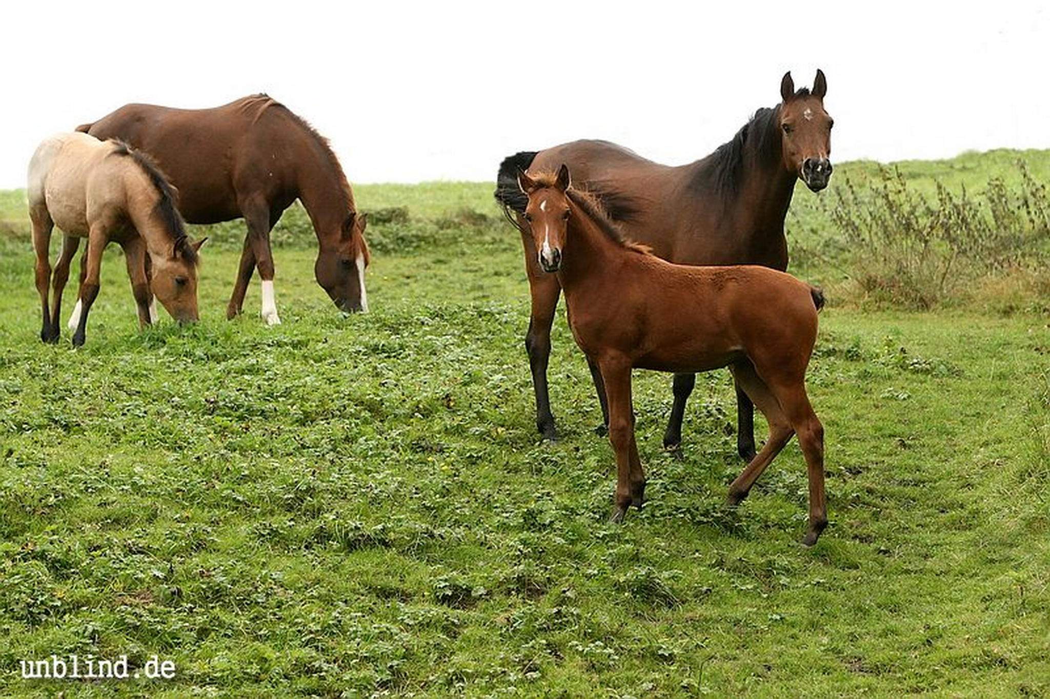 Arabische kinder 40 6240246854 o