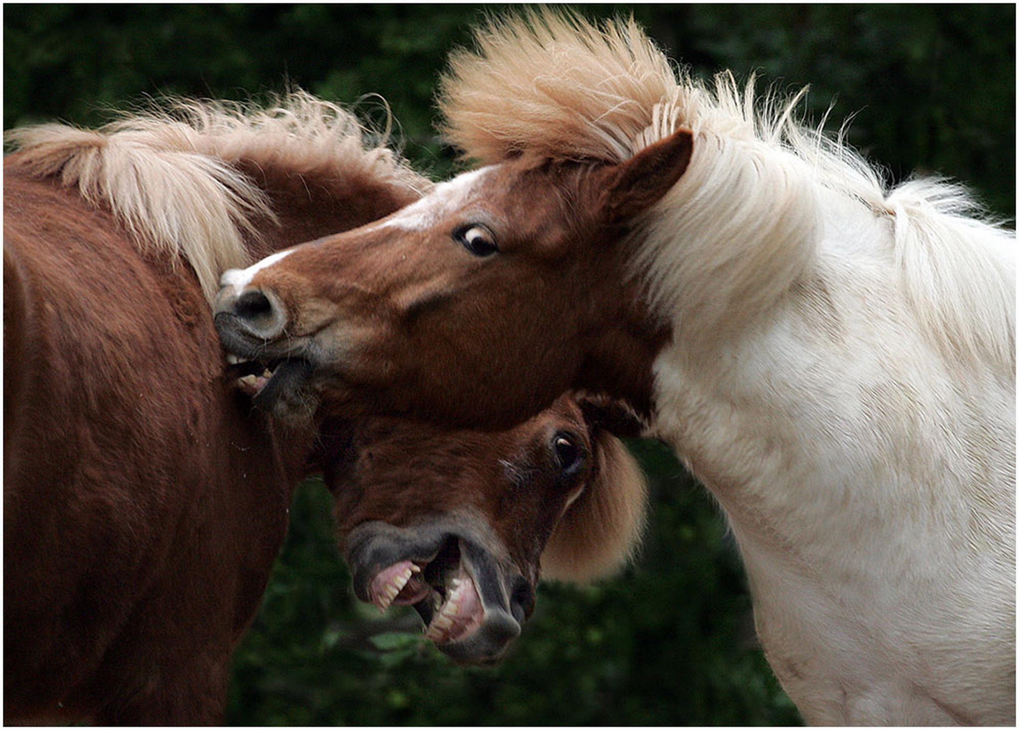 Blendamedwerbung 6008353802 o