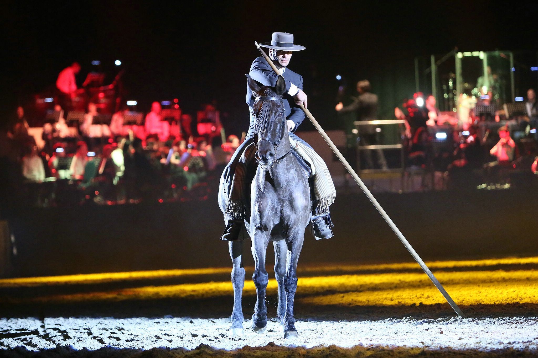 Cavallo classico becker p 05 garocha western 0237 11654031544 o