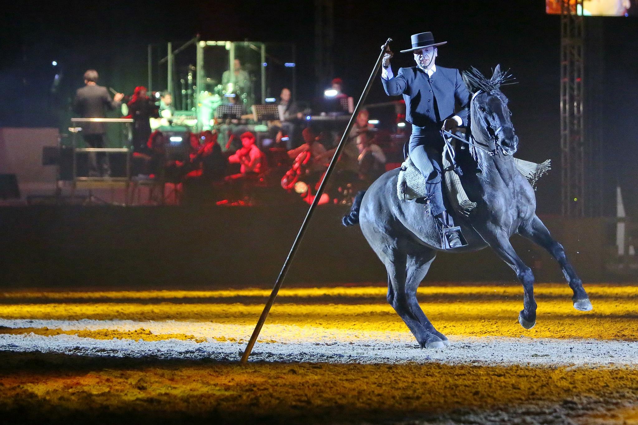 Cavallo classico becker p 05 garocha western 0278 11654424866 o