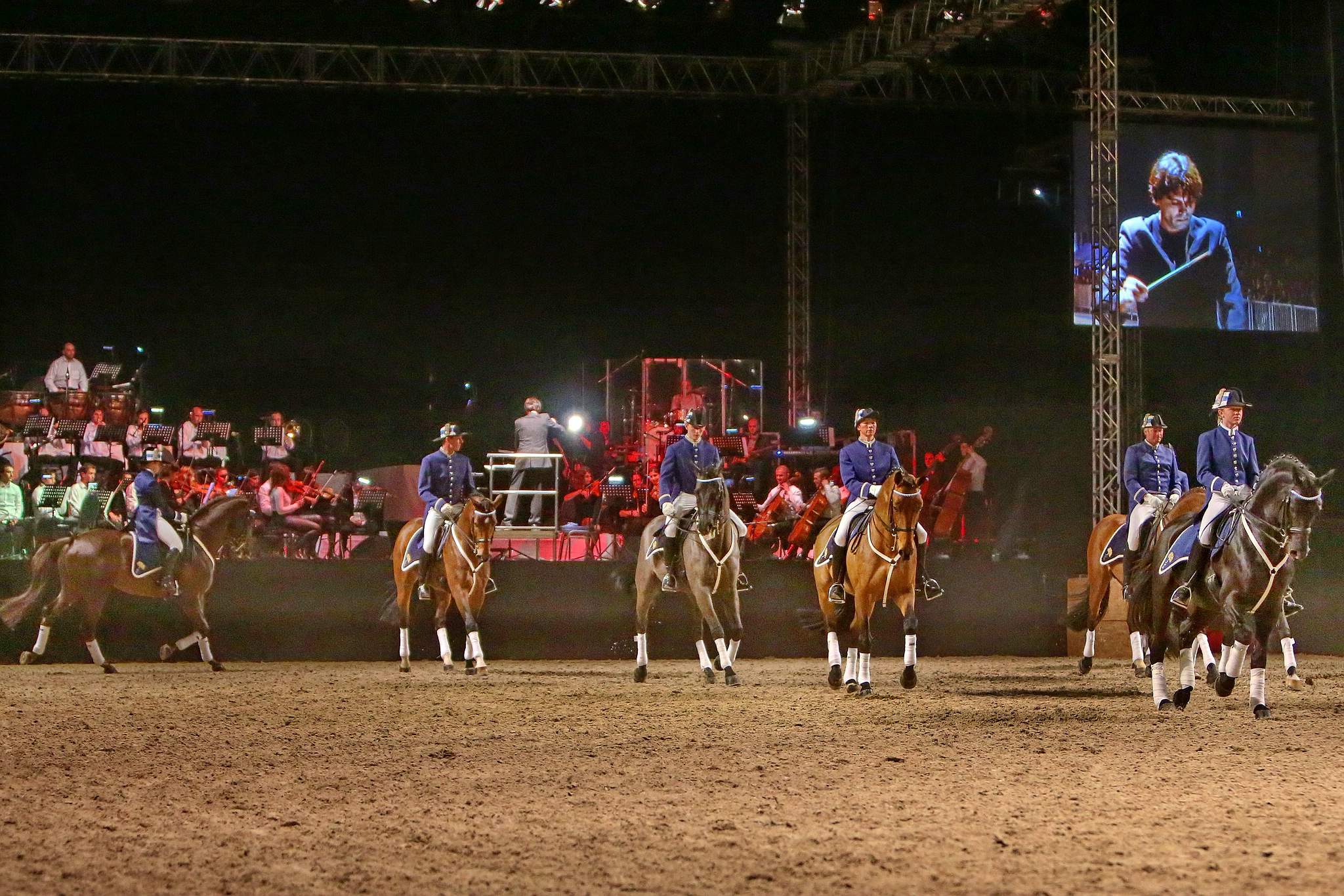 Cavallo classico becker p 06 schwaiganger 0438 11653997334 o