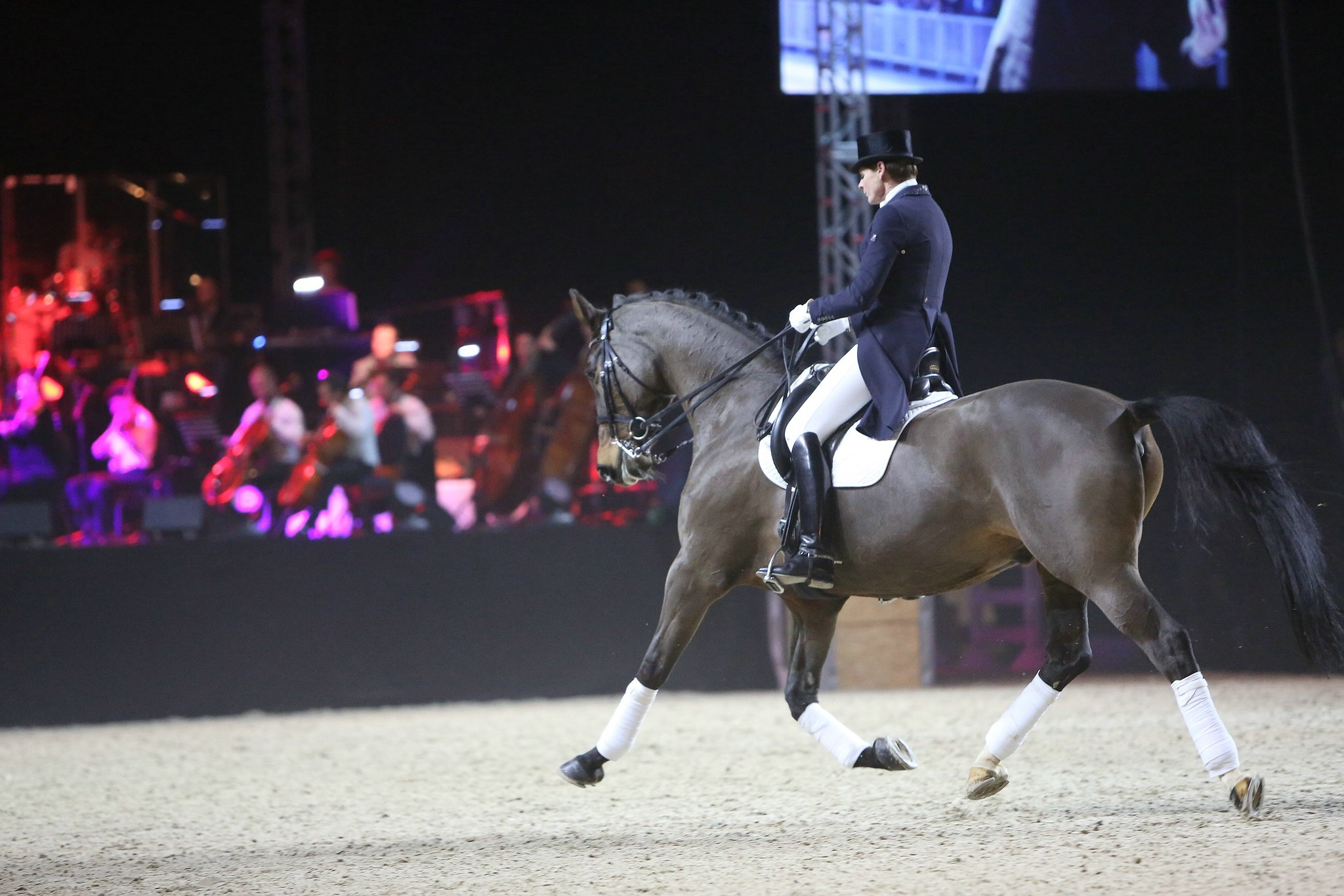 Cavallo classico becker p 08 salzgeber 0672 11653965334 o