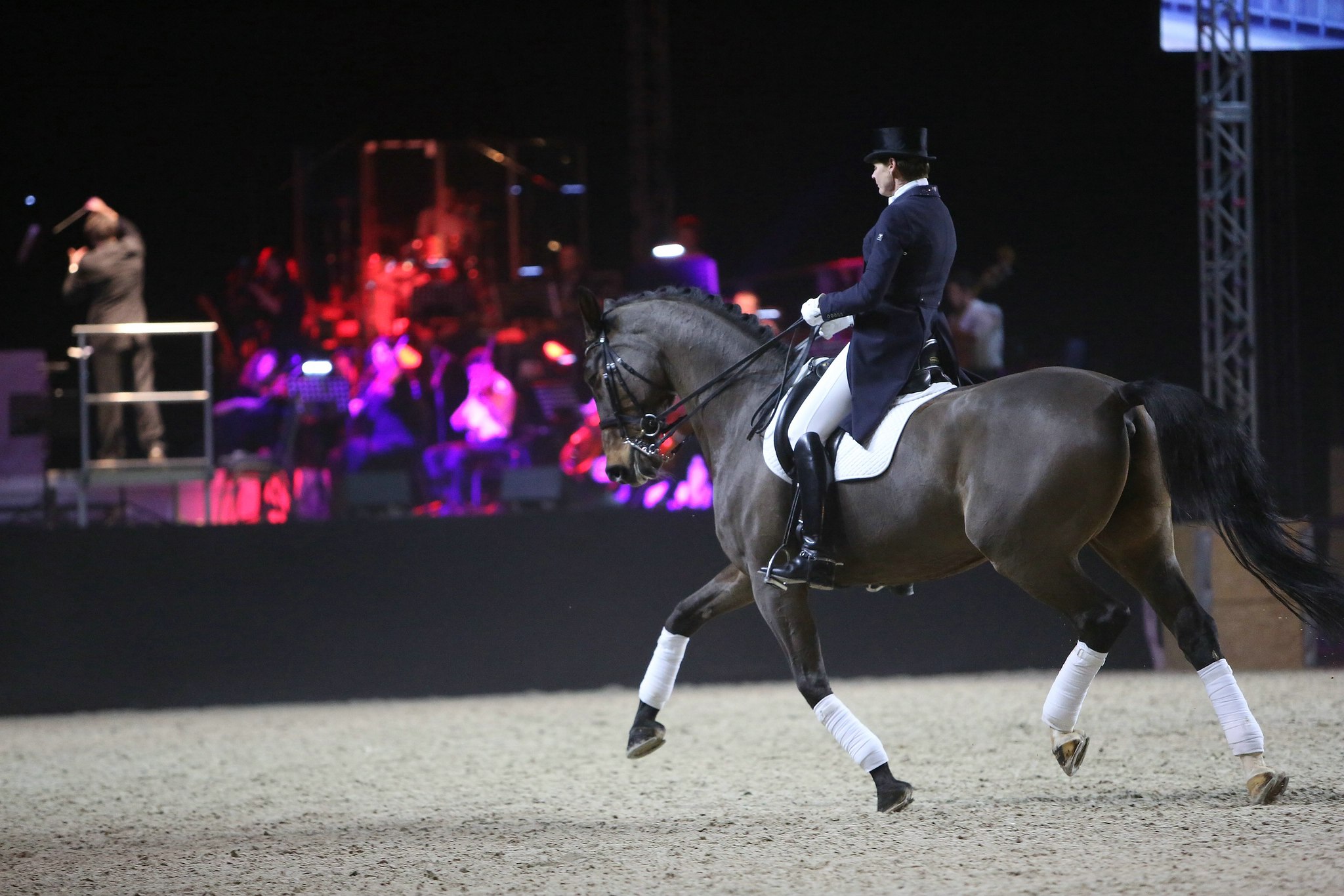 Cavallo classico becker p 08 salzgeber 0673 11653963204 o