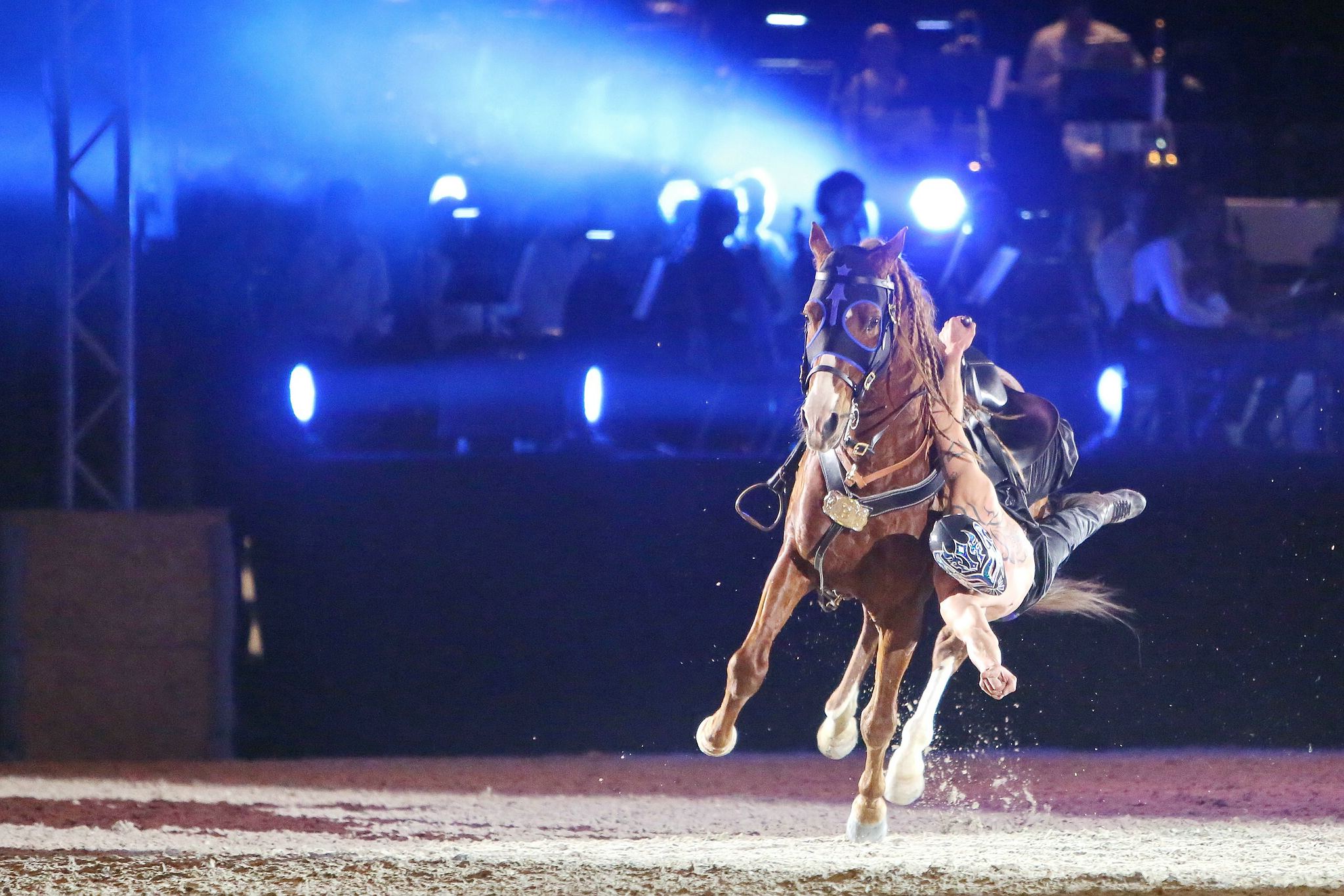 Cavallo classico becker p 10 stuntreiter 0877 11653832693 o