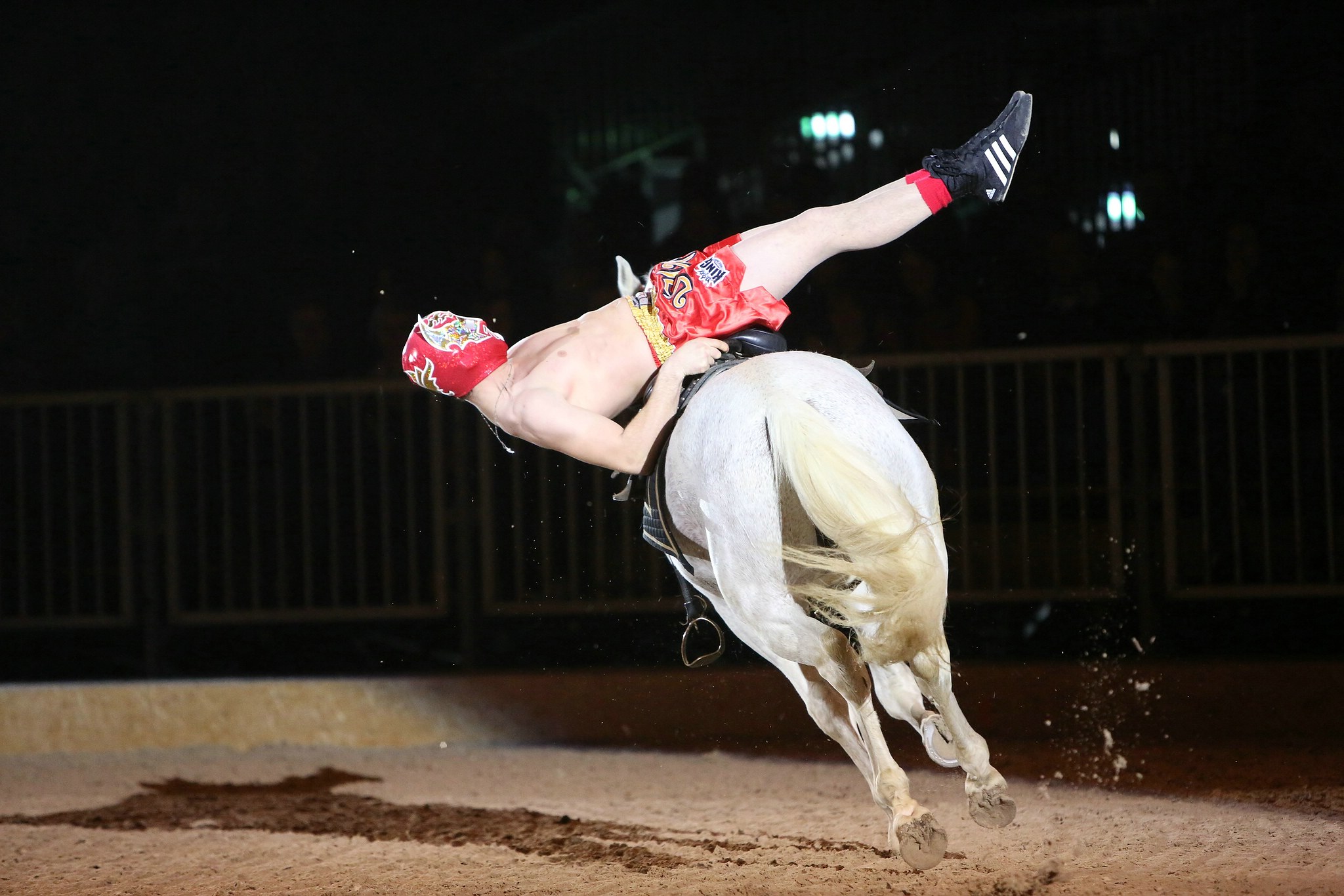 Cavallo classico becker p 10 stuntreiter 0888 11653828423 o