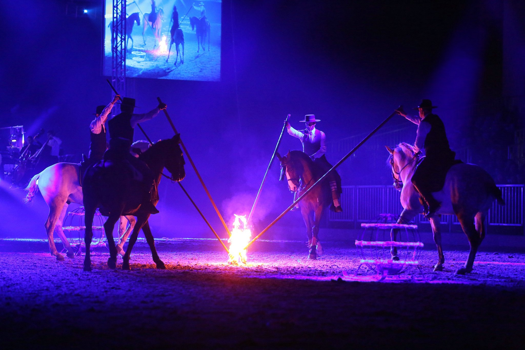 Cavallo classico becker p 11 feuer 1001 11653911364 o