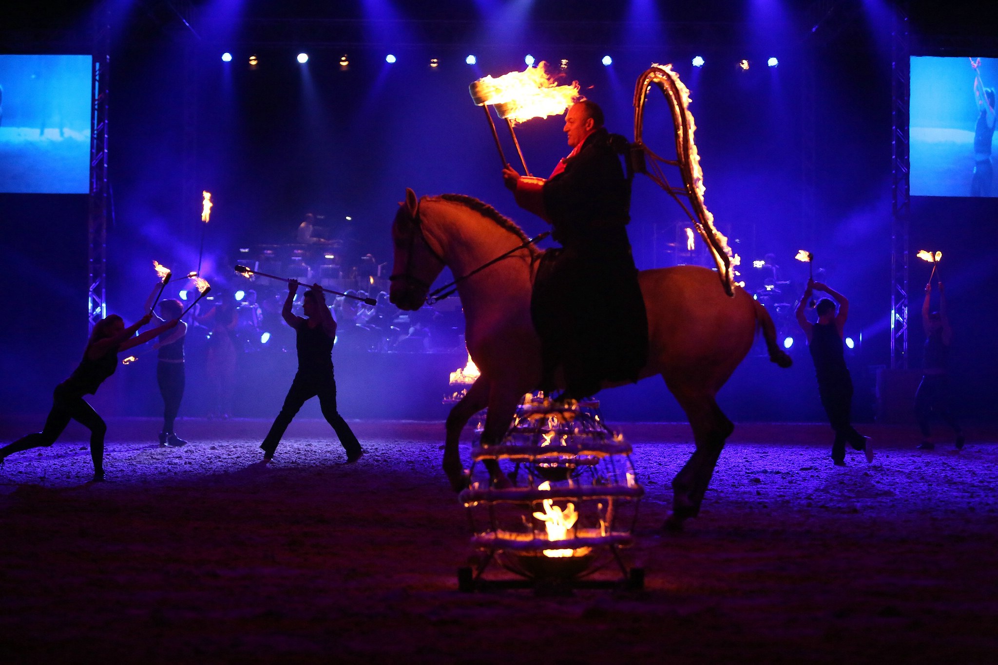 Cavallo classico becker p 11 feuer 1057 11653902124 o