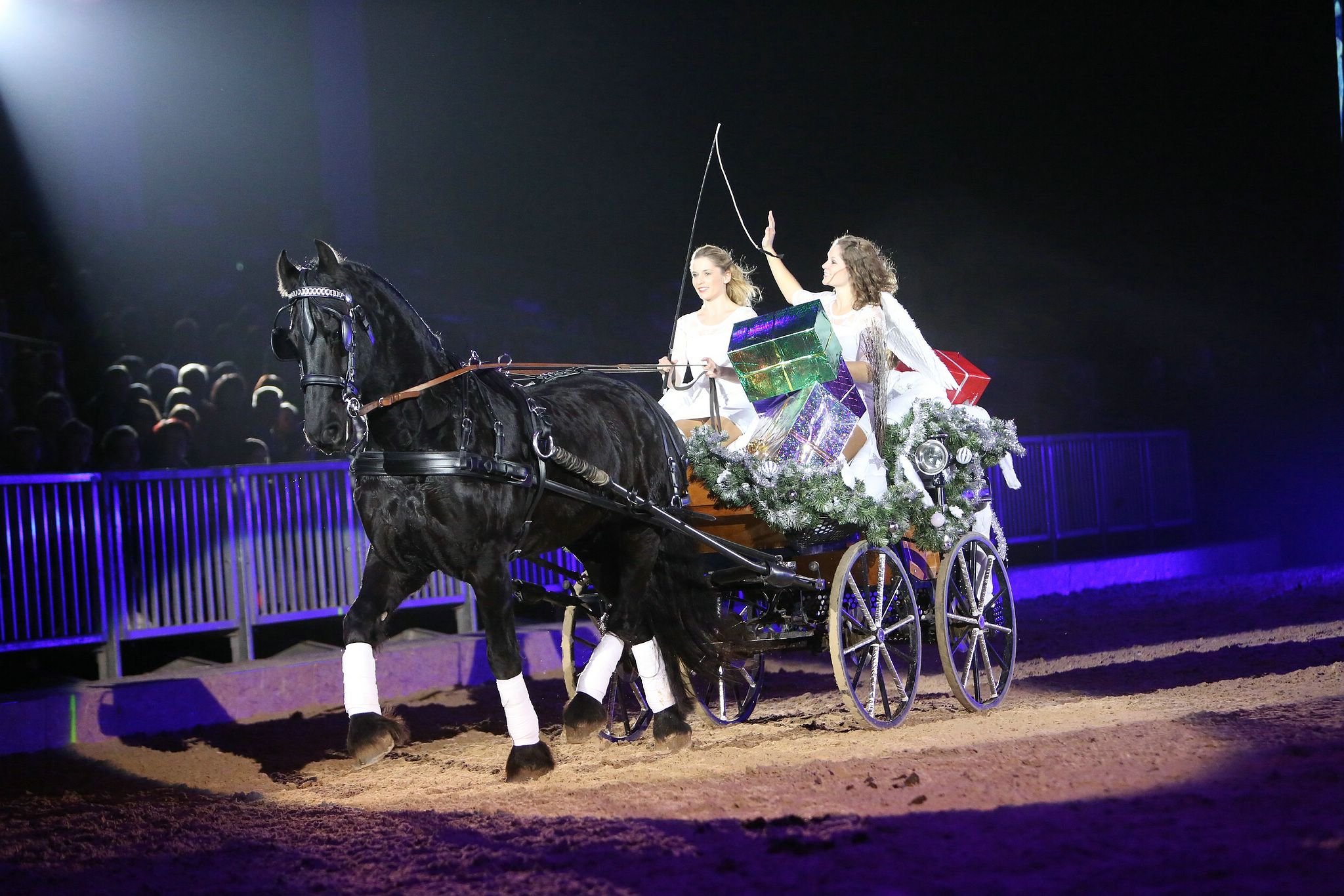 Cavallo classico becker p 12 voligierer 1082 11653531935 o