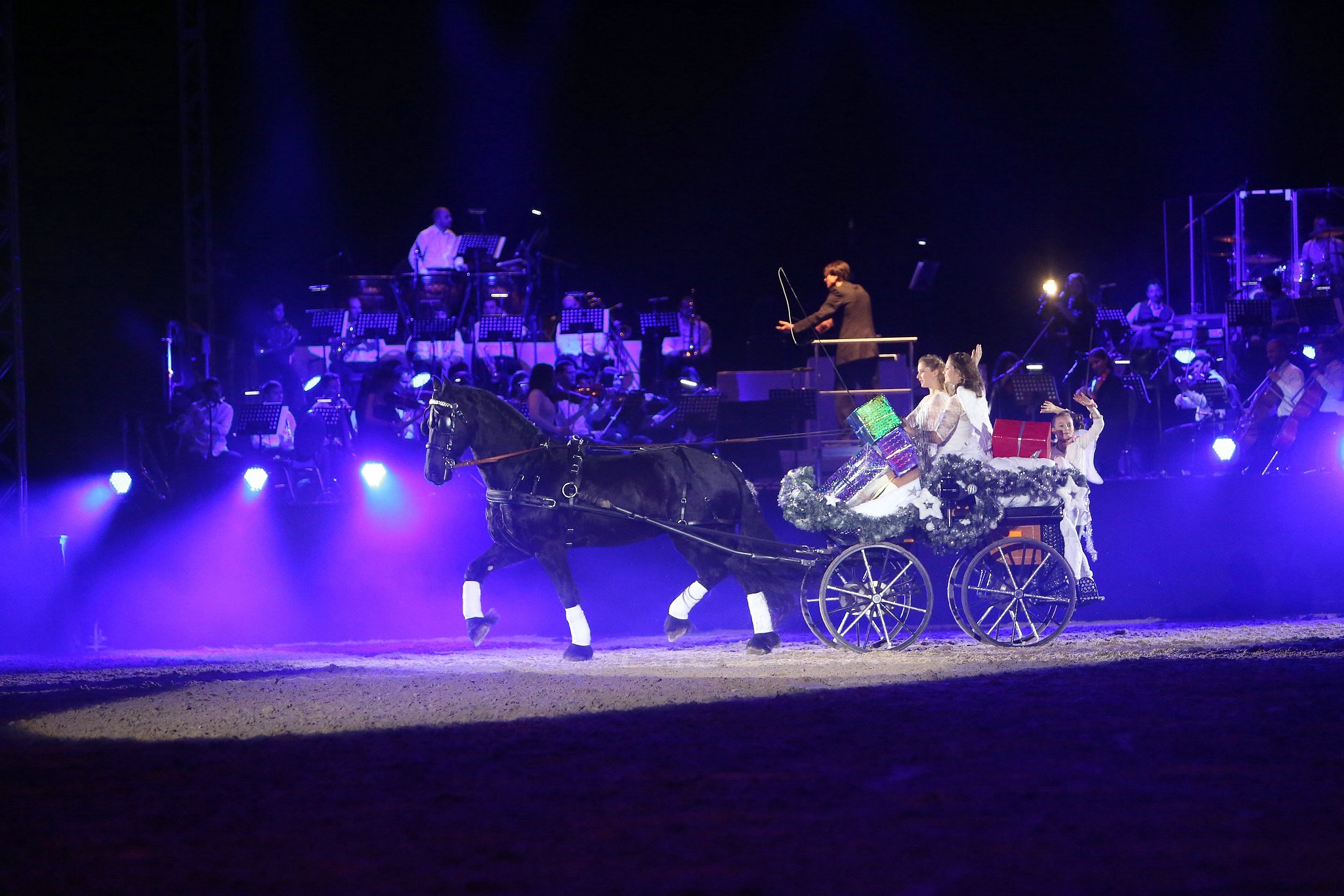 Cavallo classico becker p 12 voligierer 1088 11653529675 o