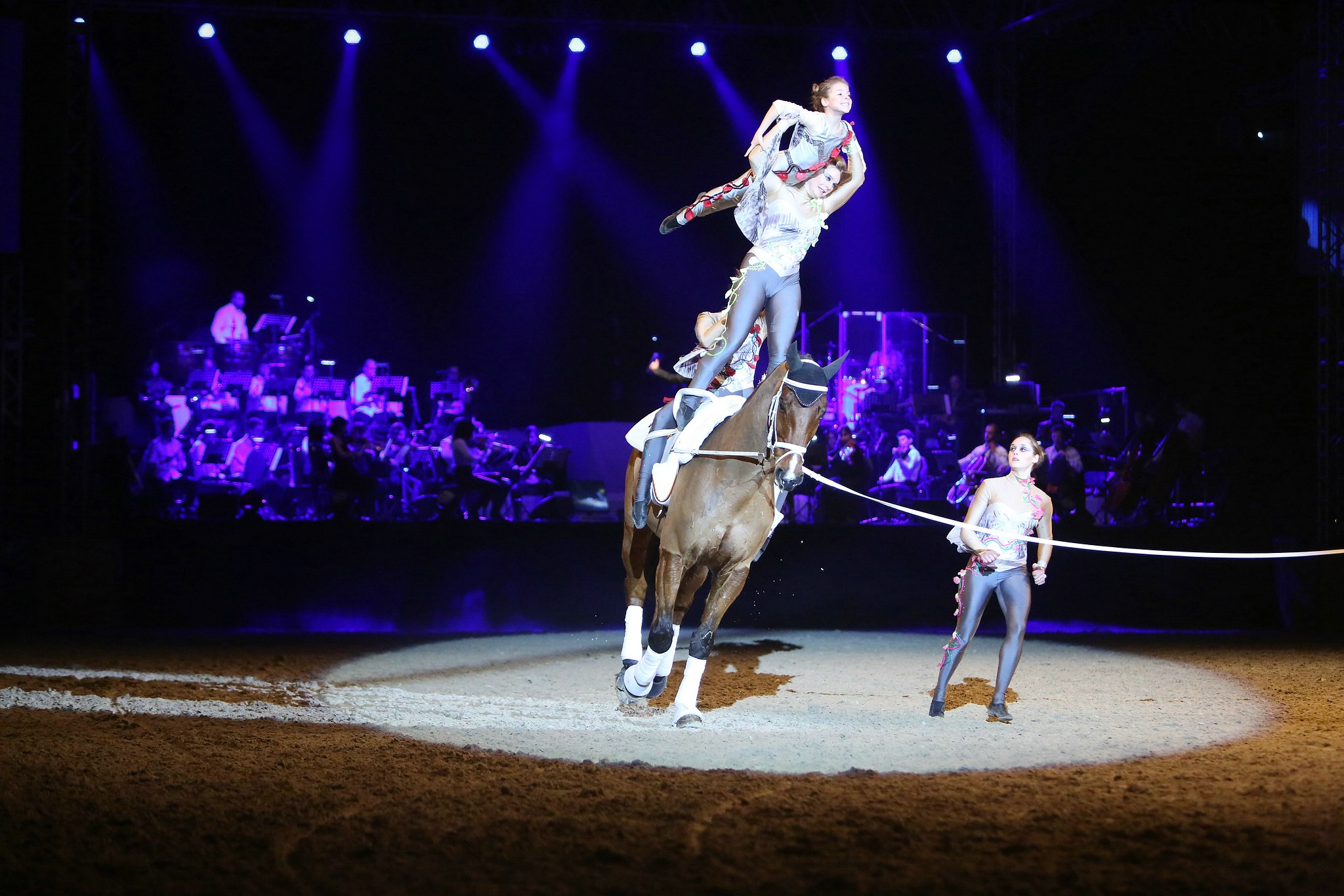 Cavallo classico becker p 12 voligierer 1112 11654294576 o