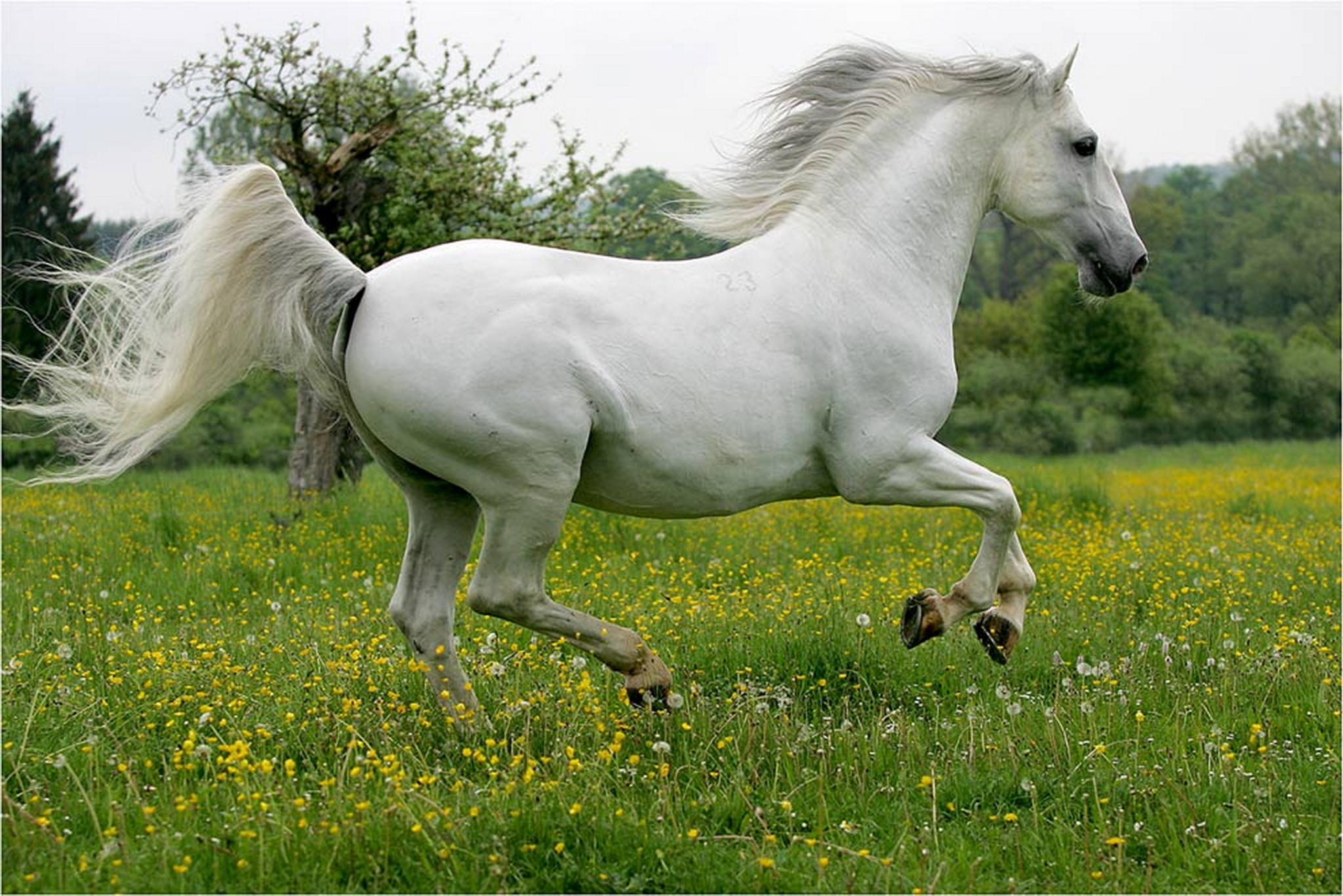 Conversano bonadea 01 6007807885 o