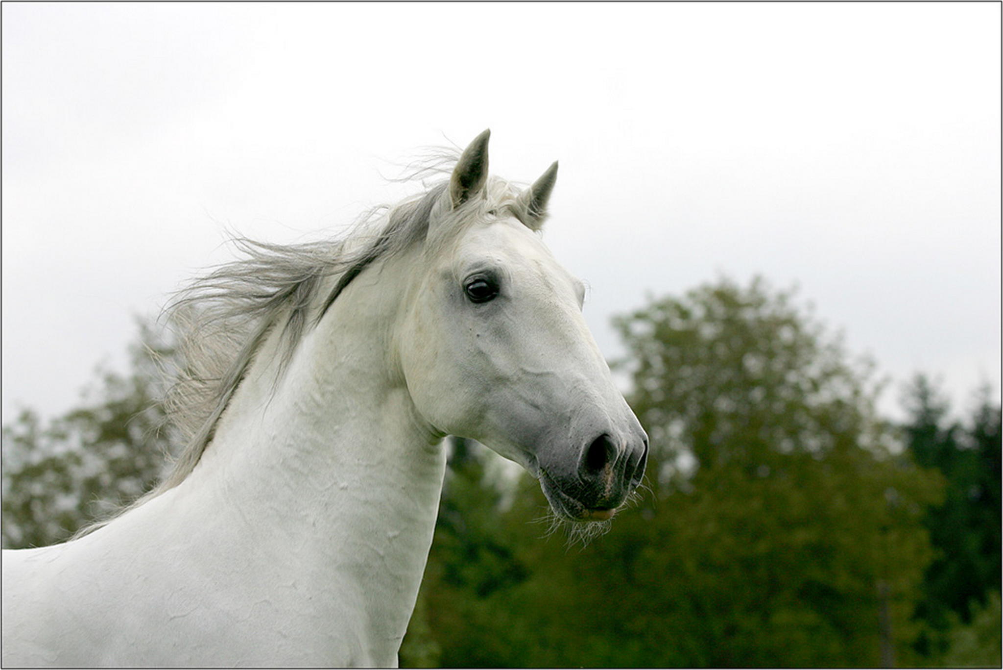 Conversano bonadea 02 6007807783 o