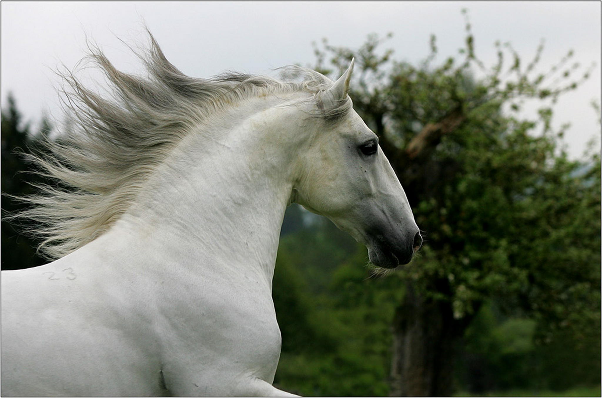 Conversano bonadea 05 6010397319 o