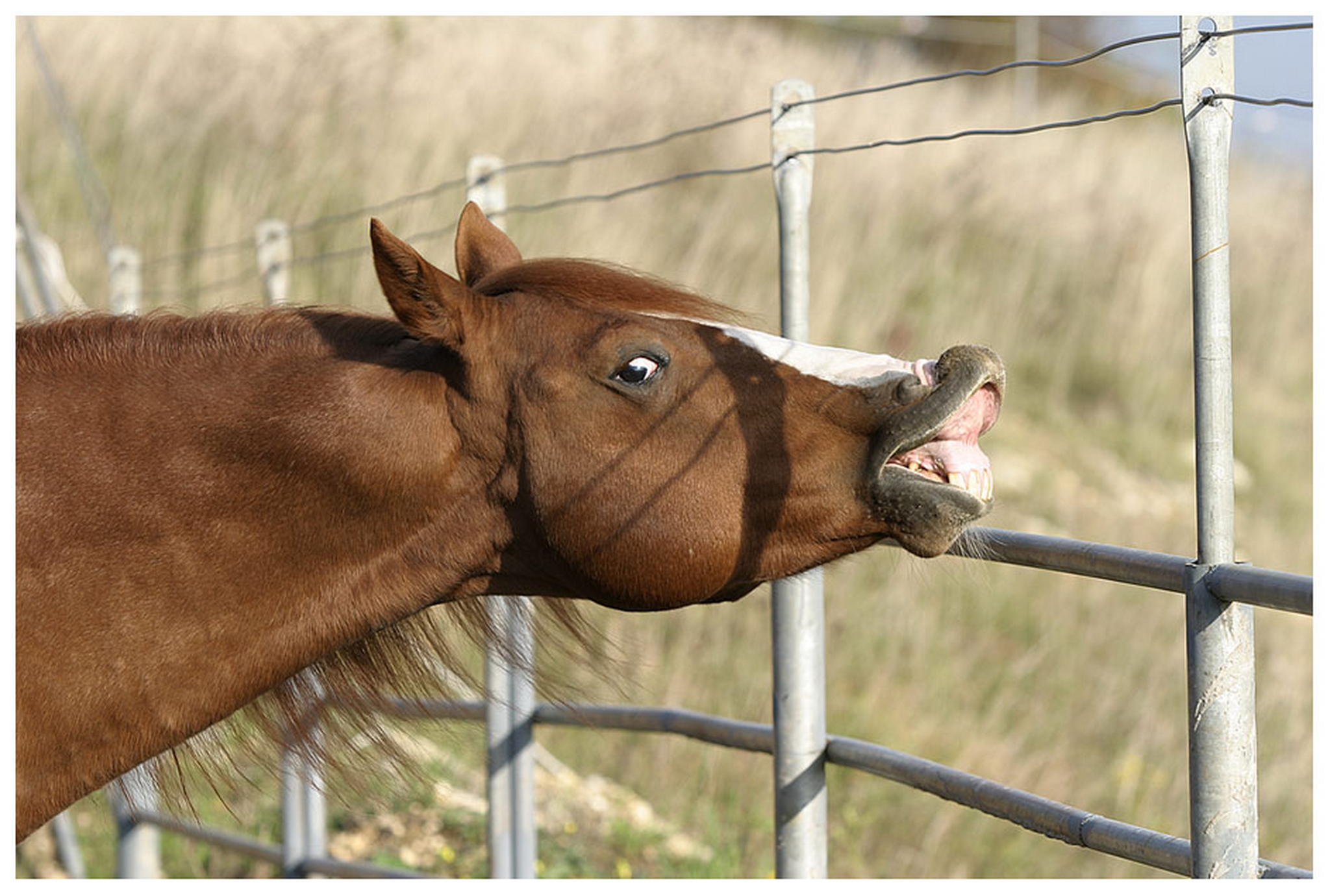 Da mach ich doch 6009283127 o