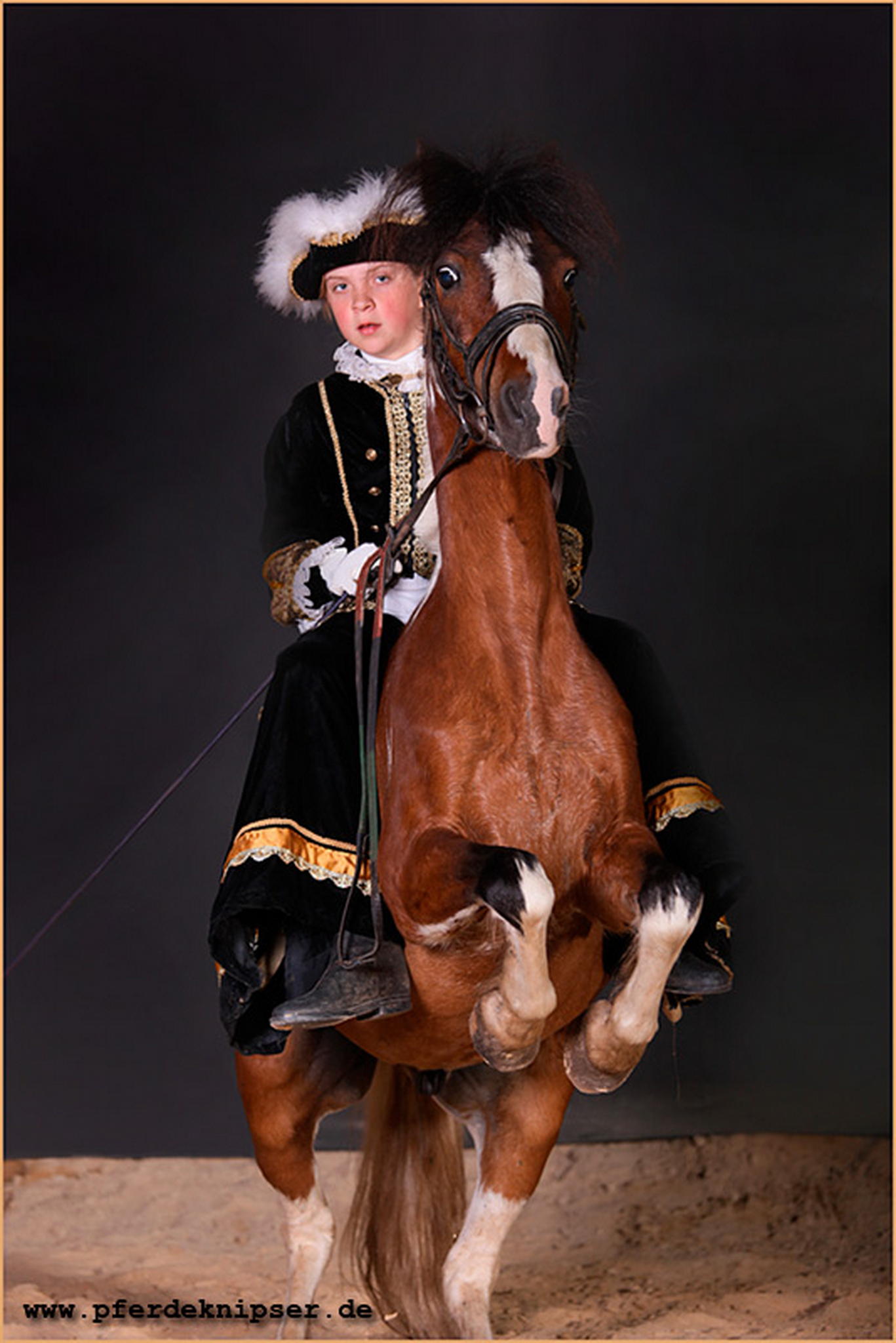 Dana spielt mit filou 5998899979 o