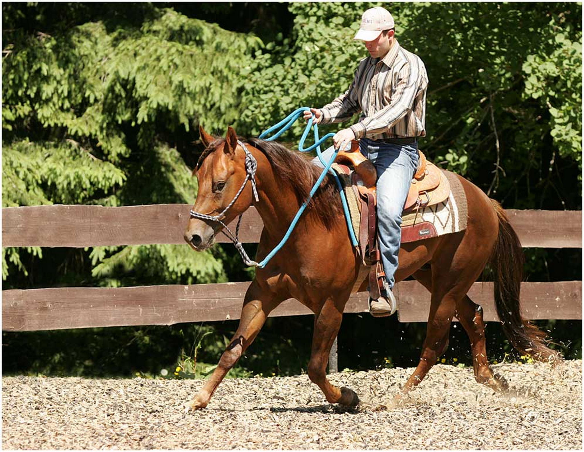 Das sechste mal unterm sattel 6007806773 o