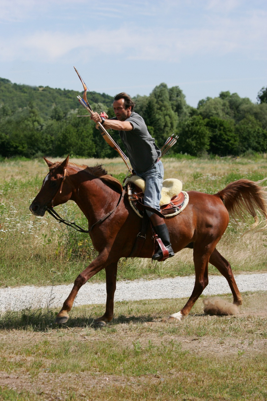 Der bogenschtze 6075907956 o