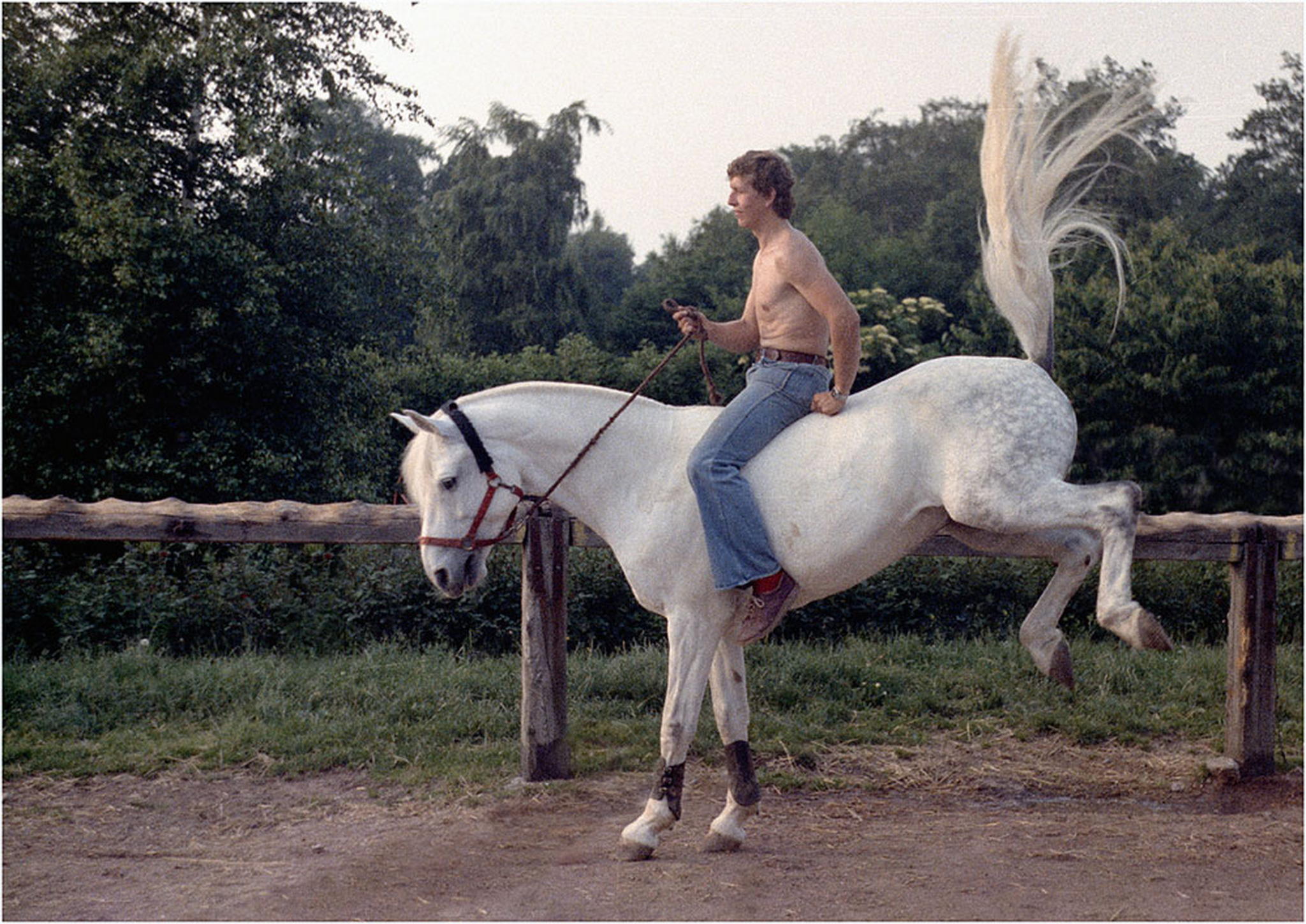 Der pferdeknipser laesst huepfen 5998902181 o