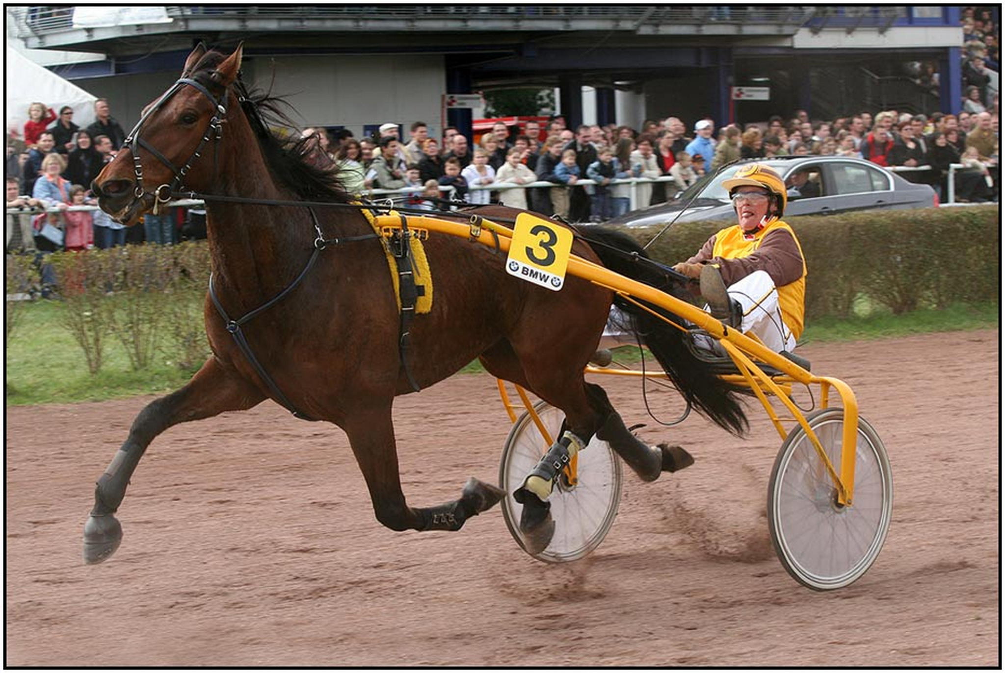 Der sieger 6009153627 o