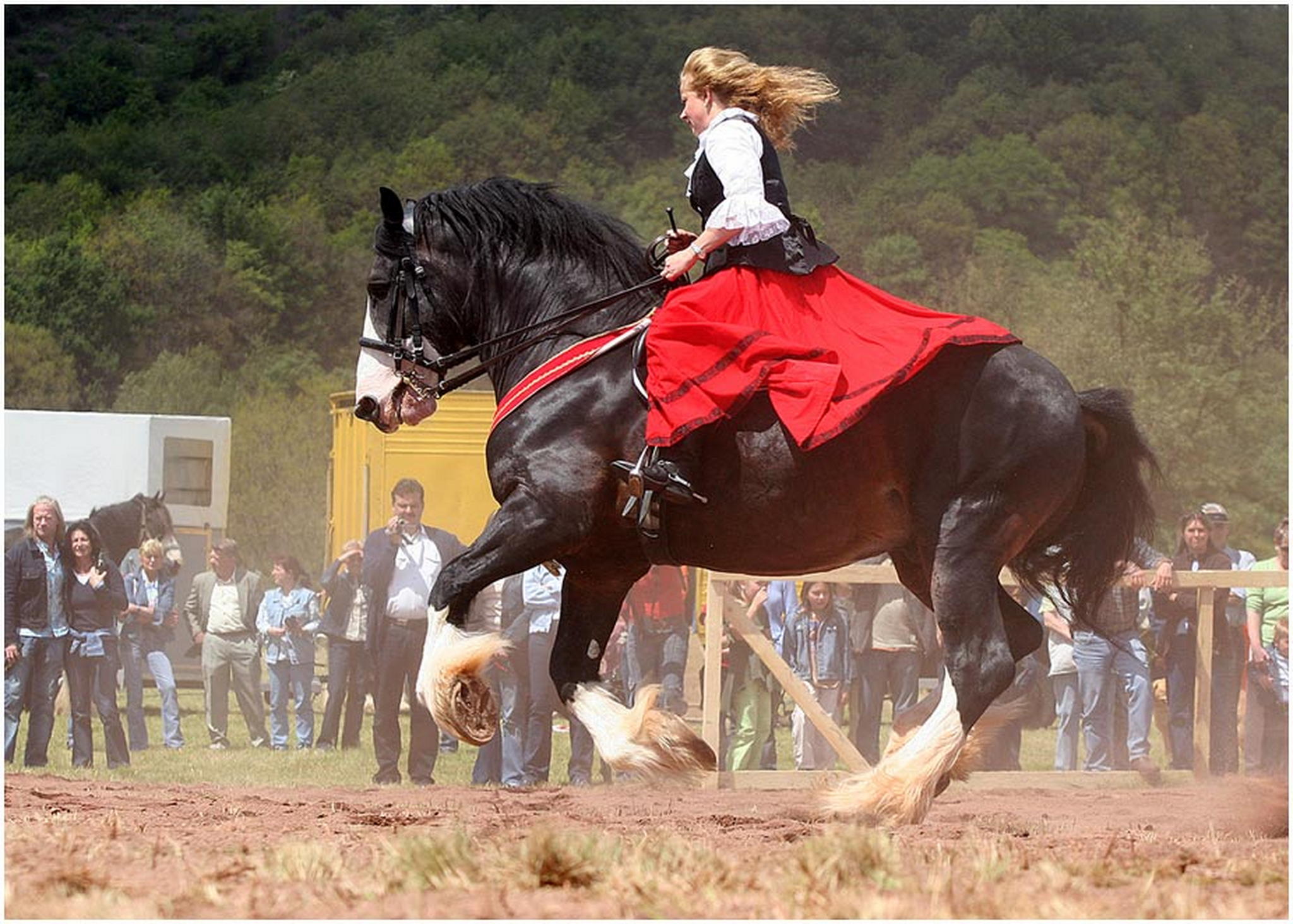 Donnernde hufe 6009150983 o