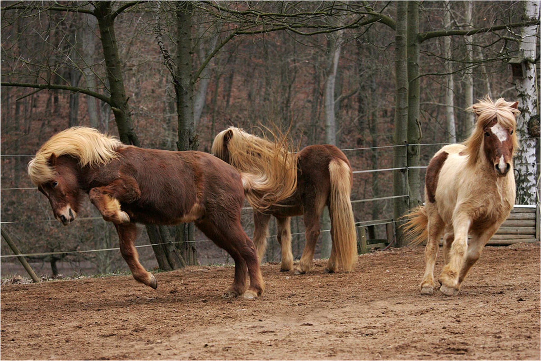 Eine originalszene von heute 6000884606 o