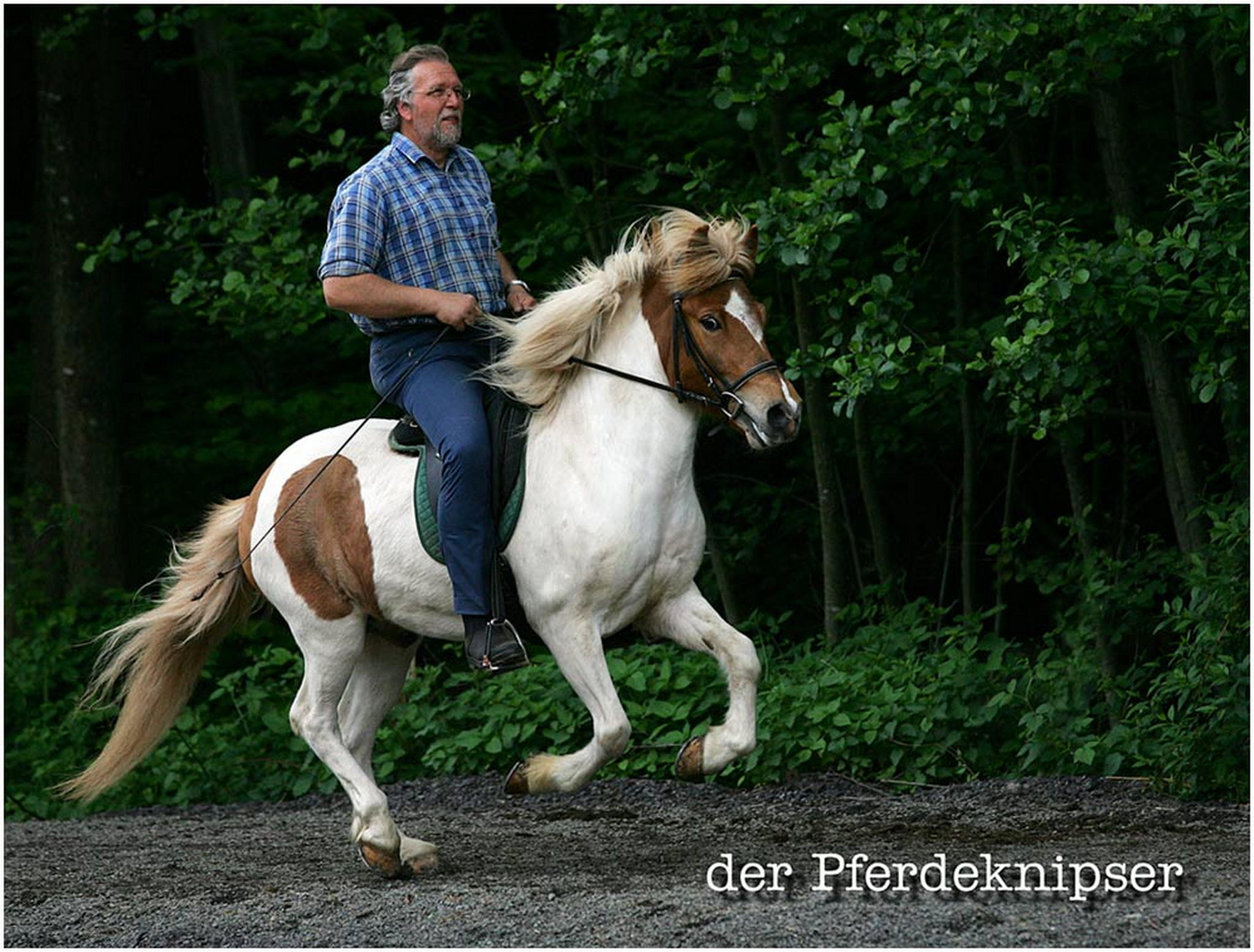 Endlich komme ich mal wieder zum reiten 6007807227 o
