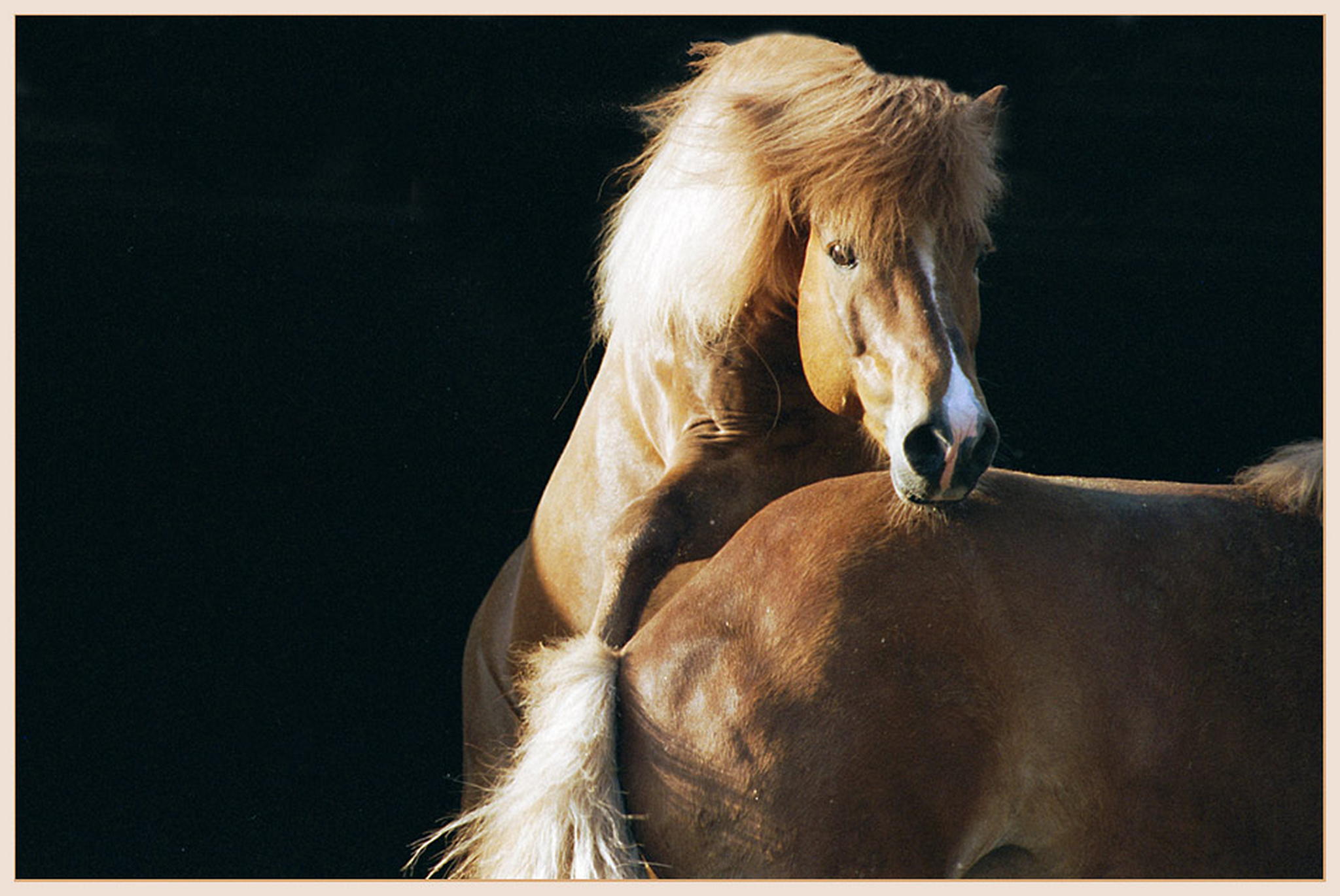 Er hat schon viel erfahrung 6009836708 o