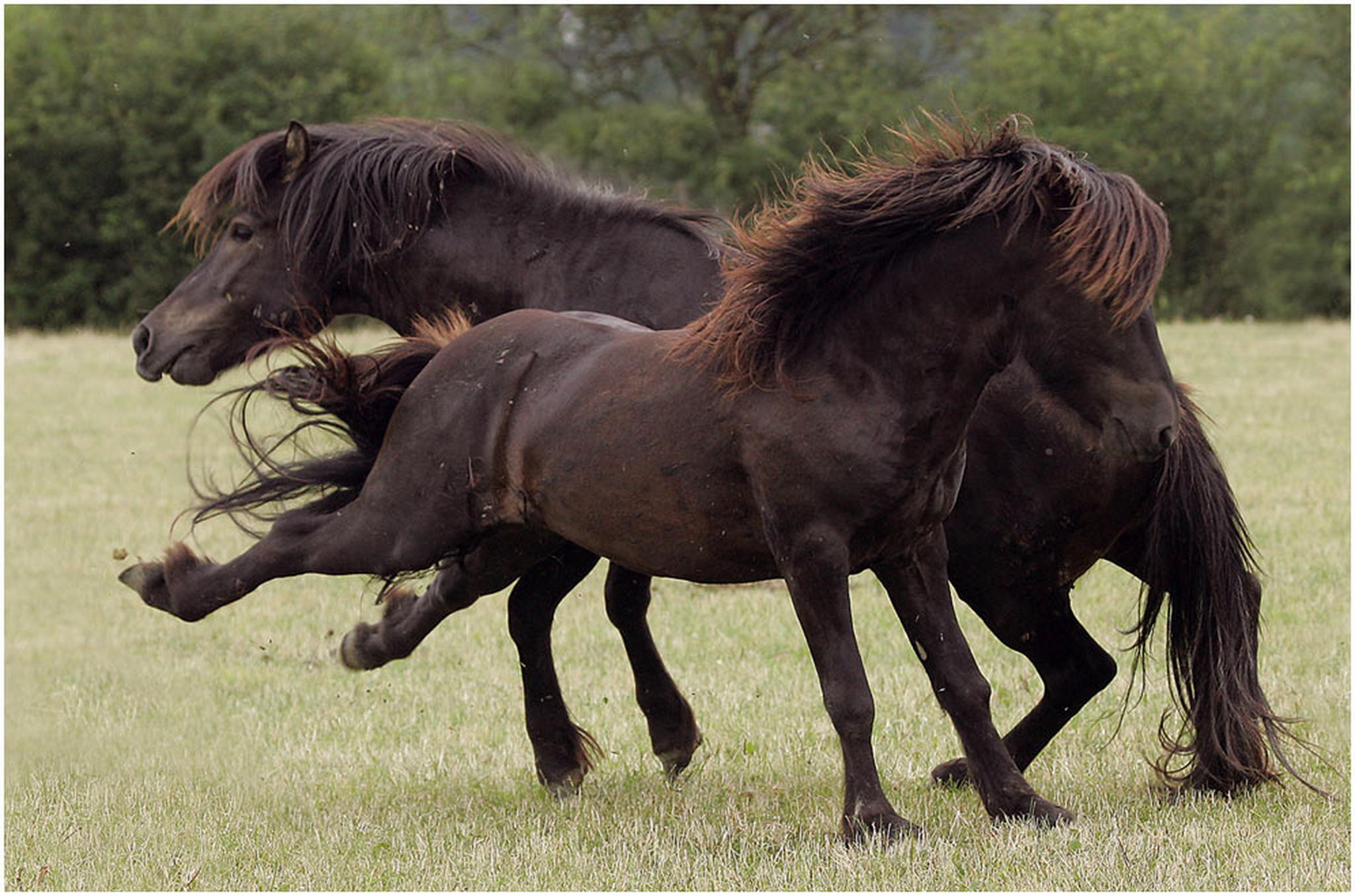 Es geht zur sache 6001653084 o