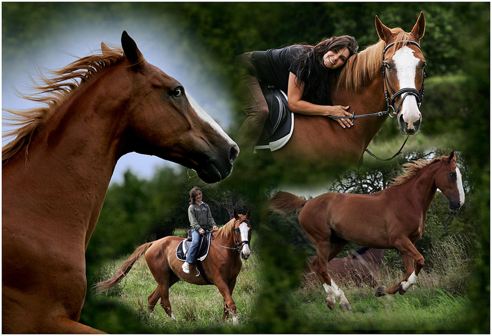 Gebasteltes 6000979152 o