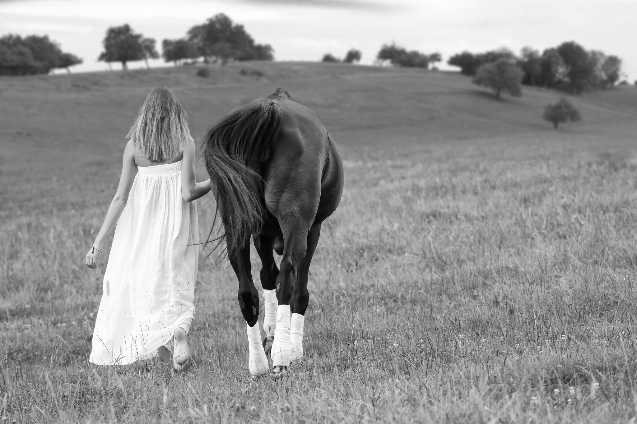 Gemeinsam 24843881852 o