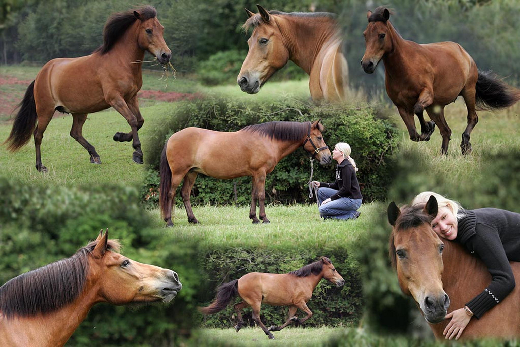 Gestern mal ein isishooting 6001085489 o