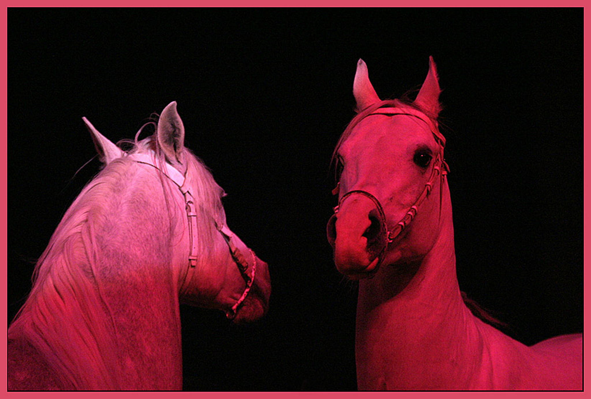 Goa 02    ich trumte 6009840198 o