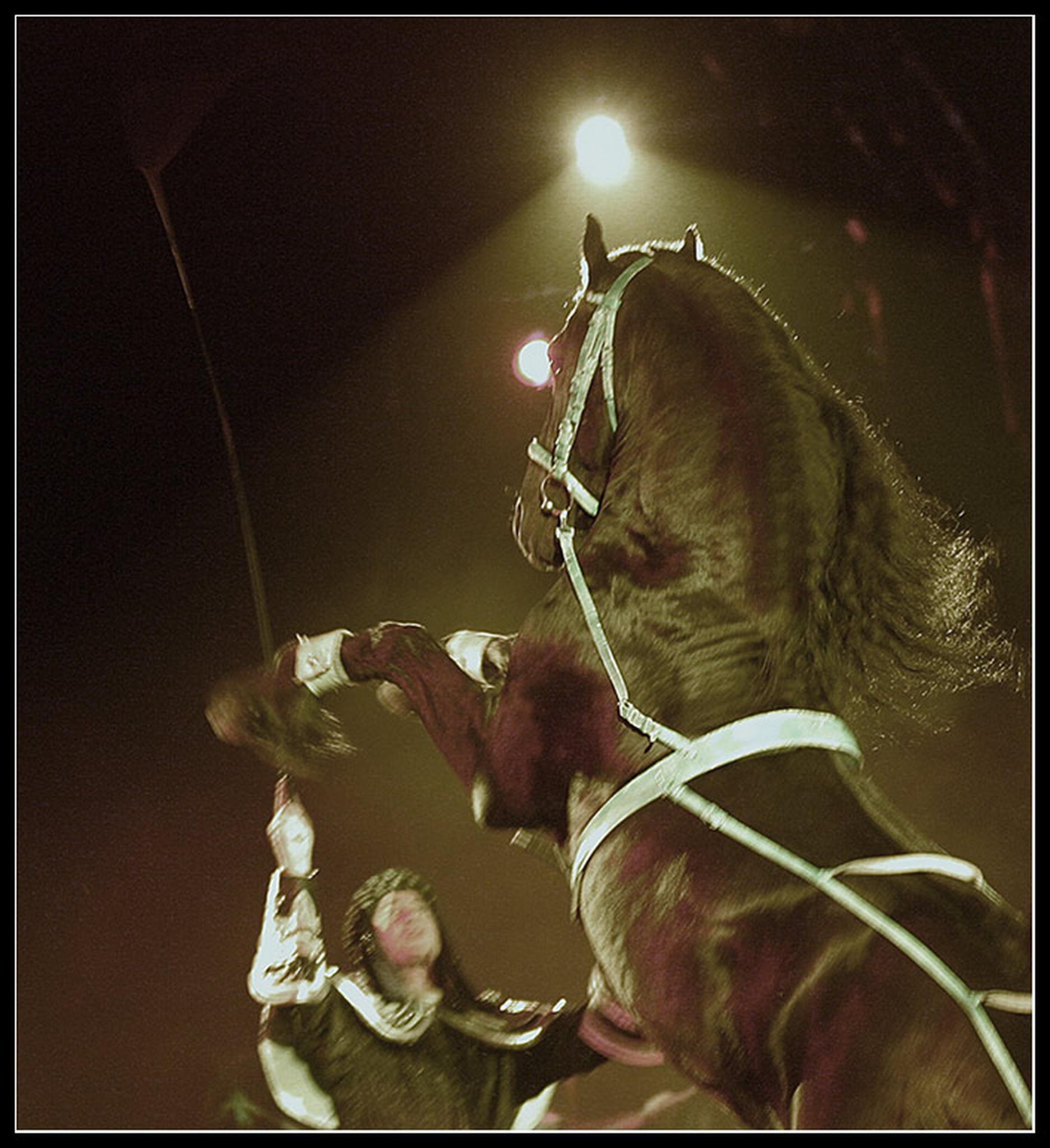 Goa 04    ich trumte 6009290599 o