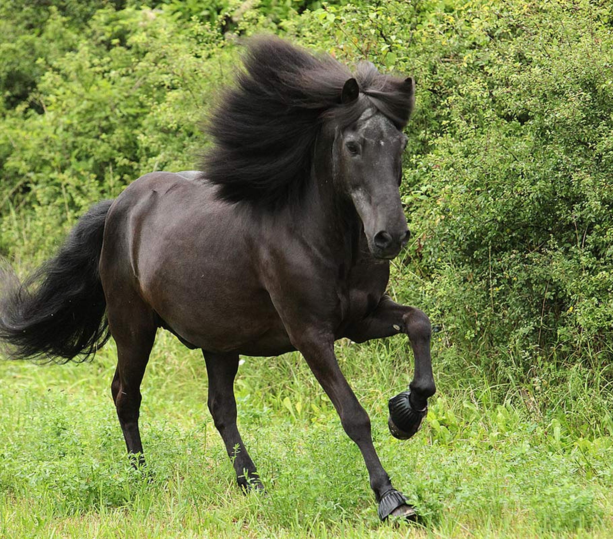 Gustl 27 lenze 5999470338 o