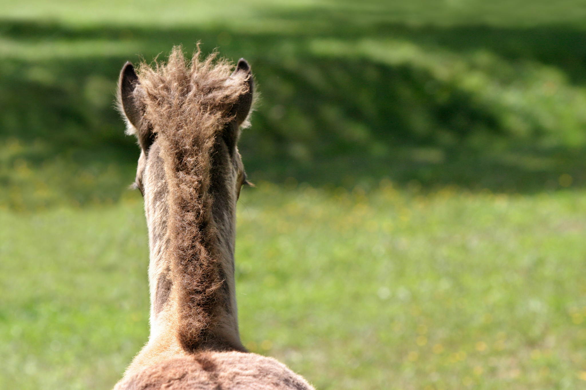 2004 08 20    IMG_4552 669